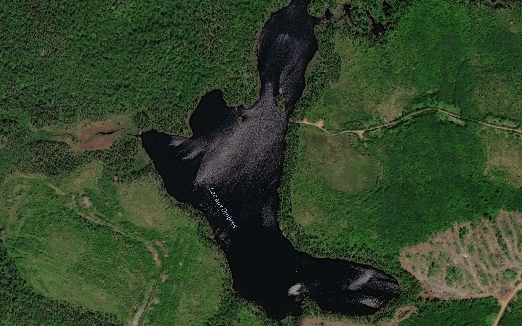 Satellite map of the Lac aux Ombres