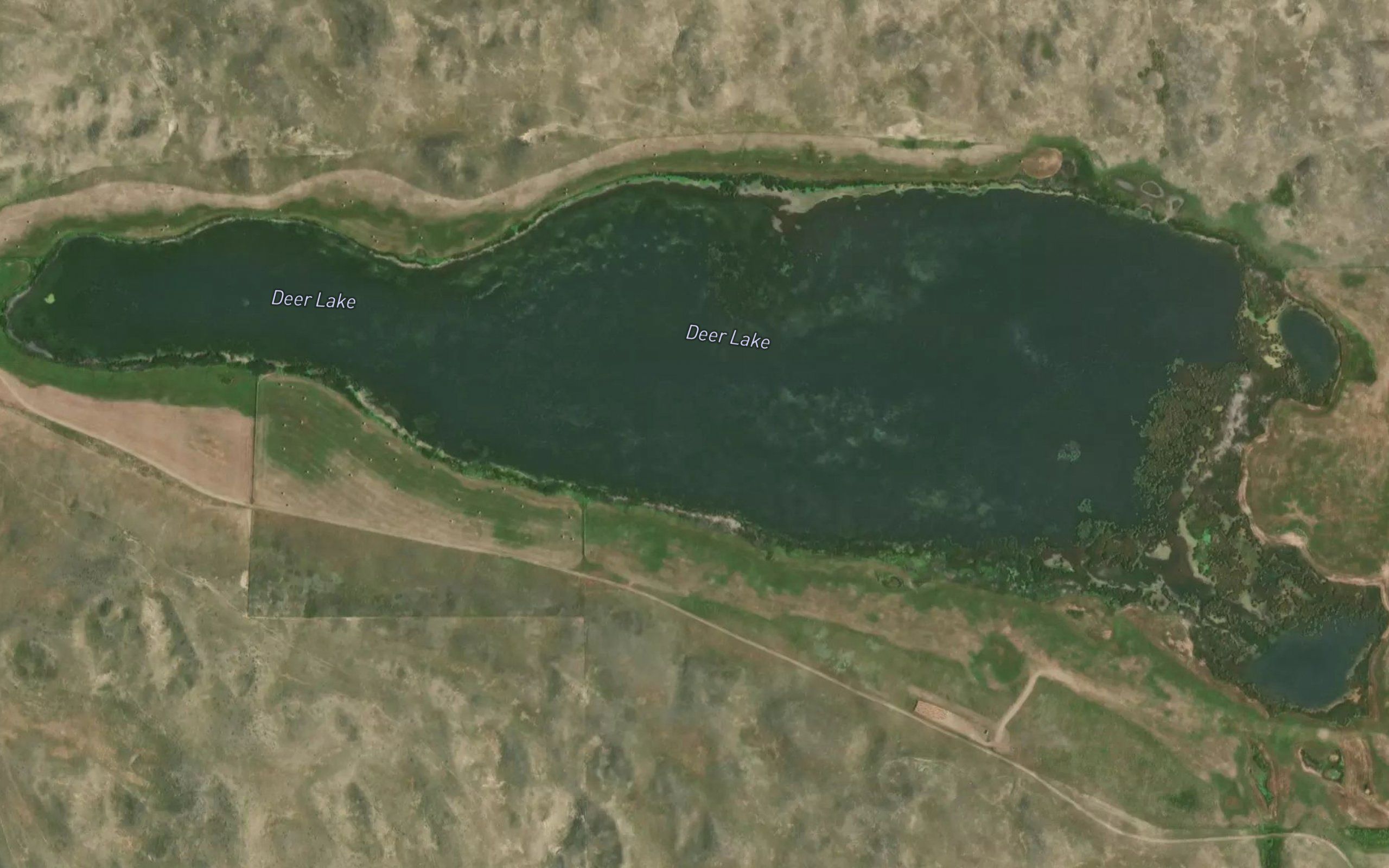 Deer Lake