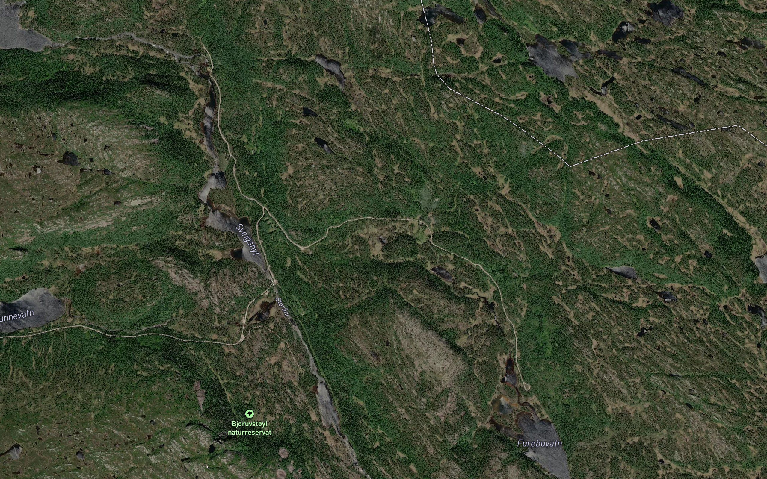 Gravletjorn