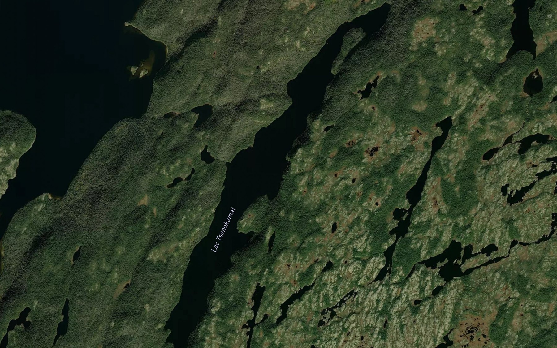 Satellite map of the Lac Tsenokamat