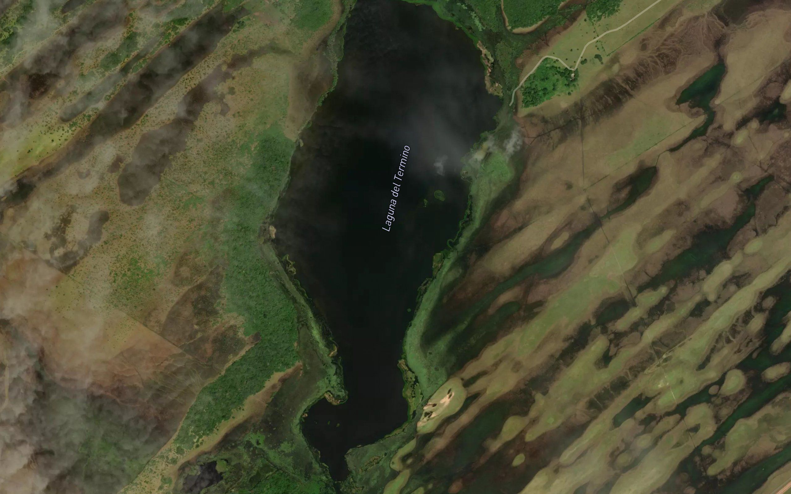 Laguna el Termino
