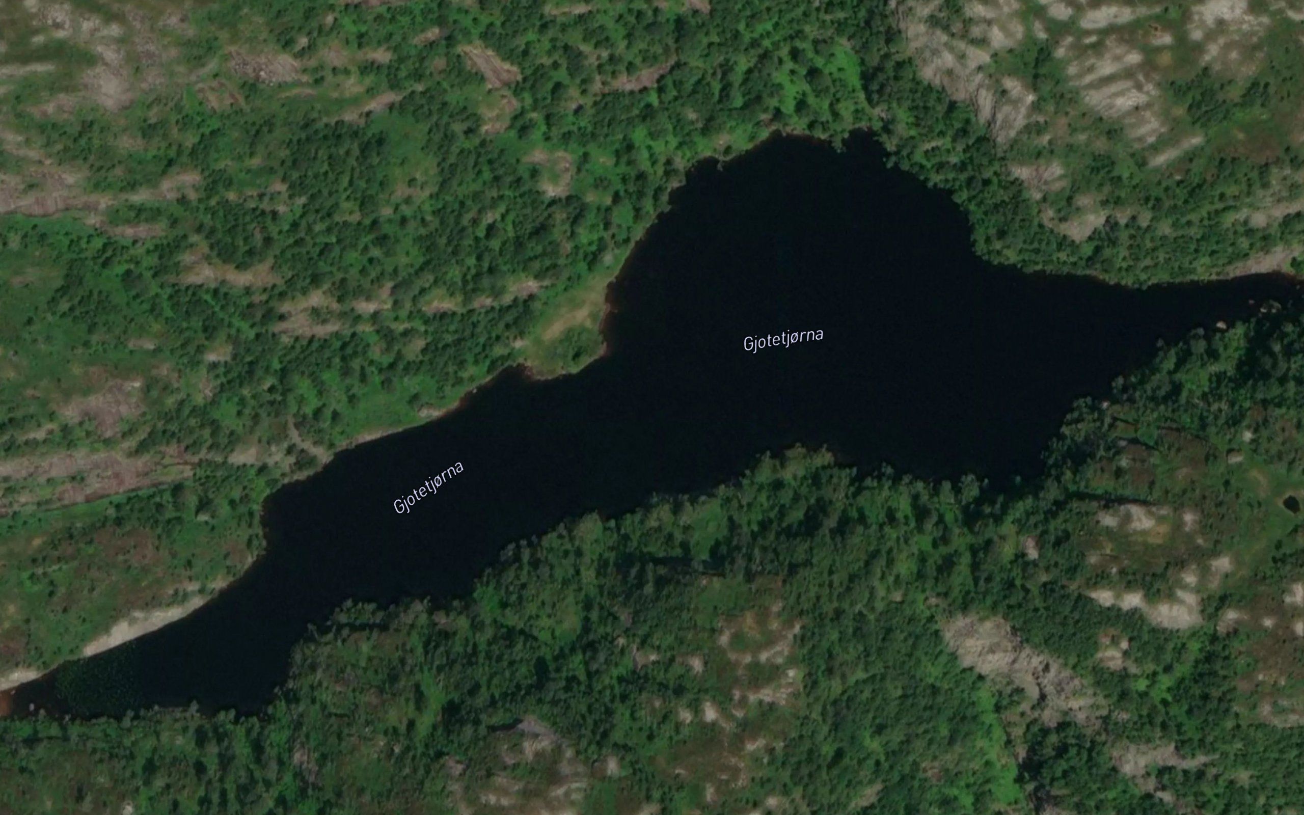 Jodetjorna