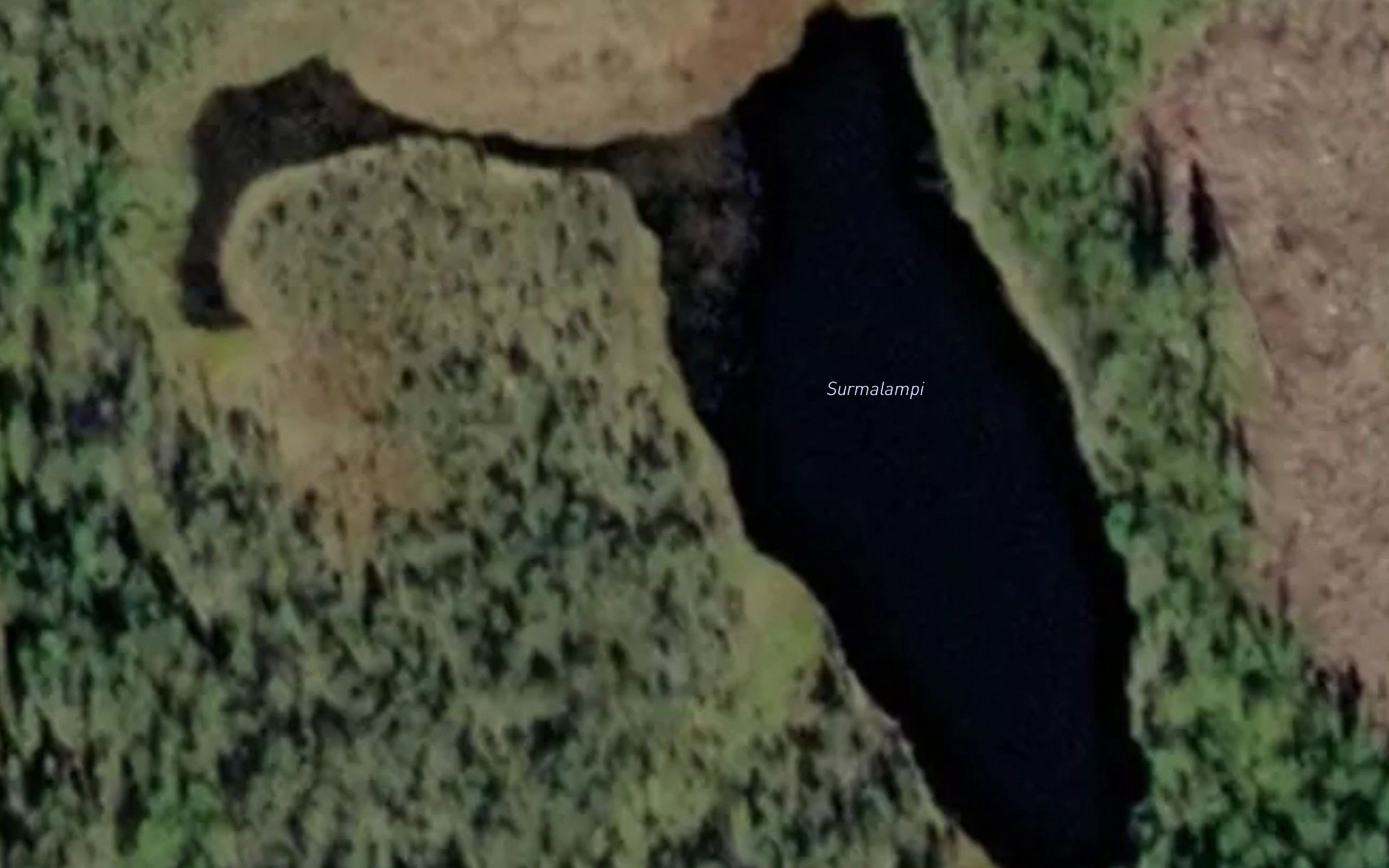 Surmalampi