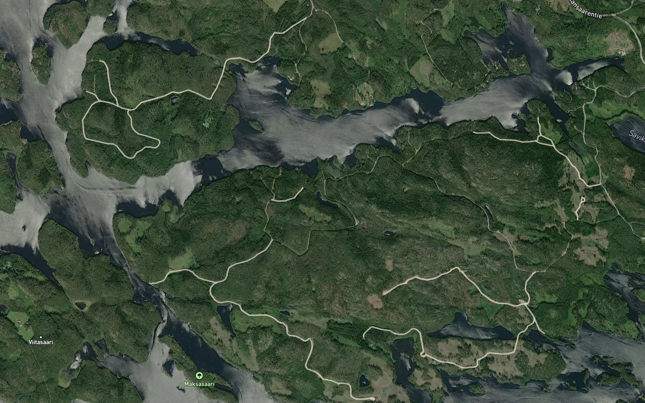 Hauklampi