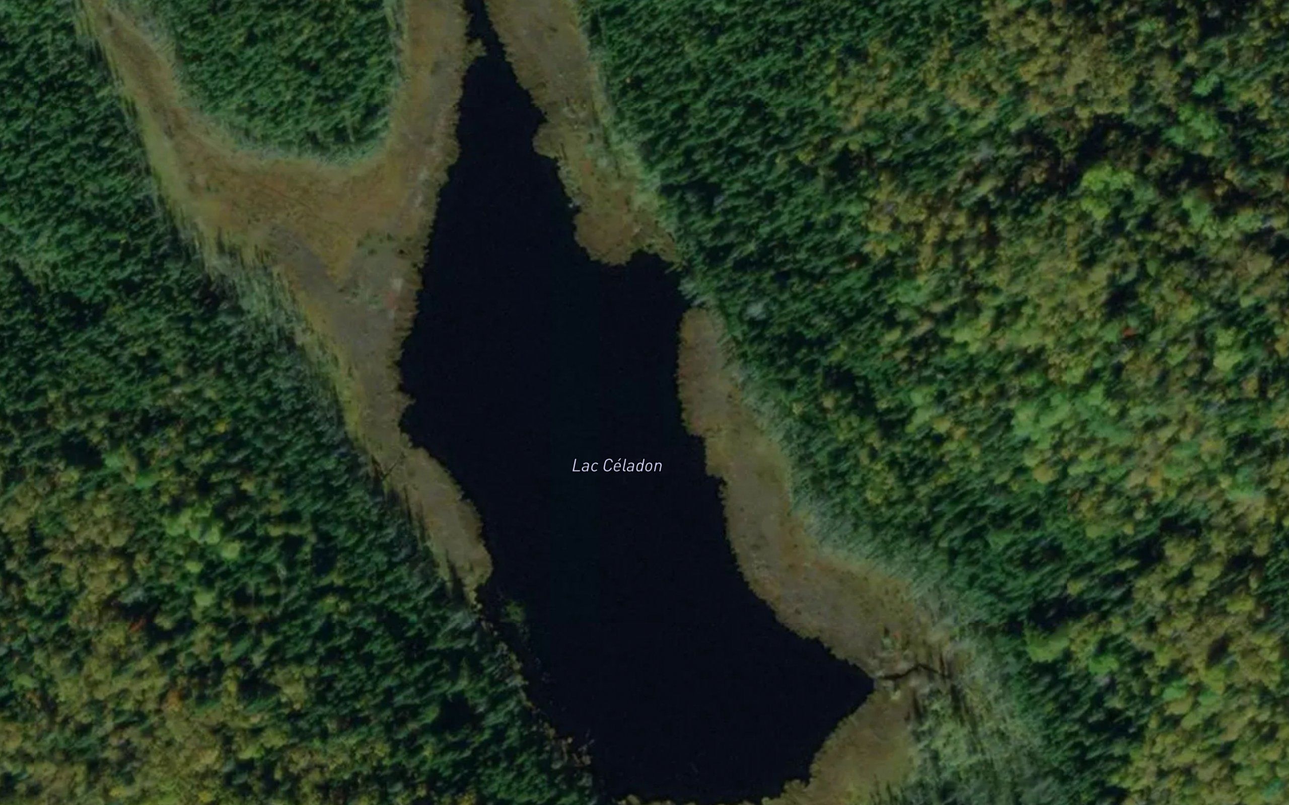 Lac Celadon