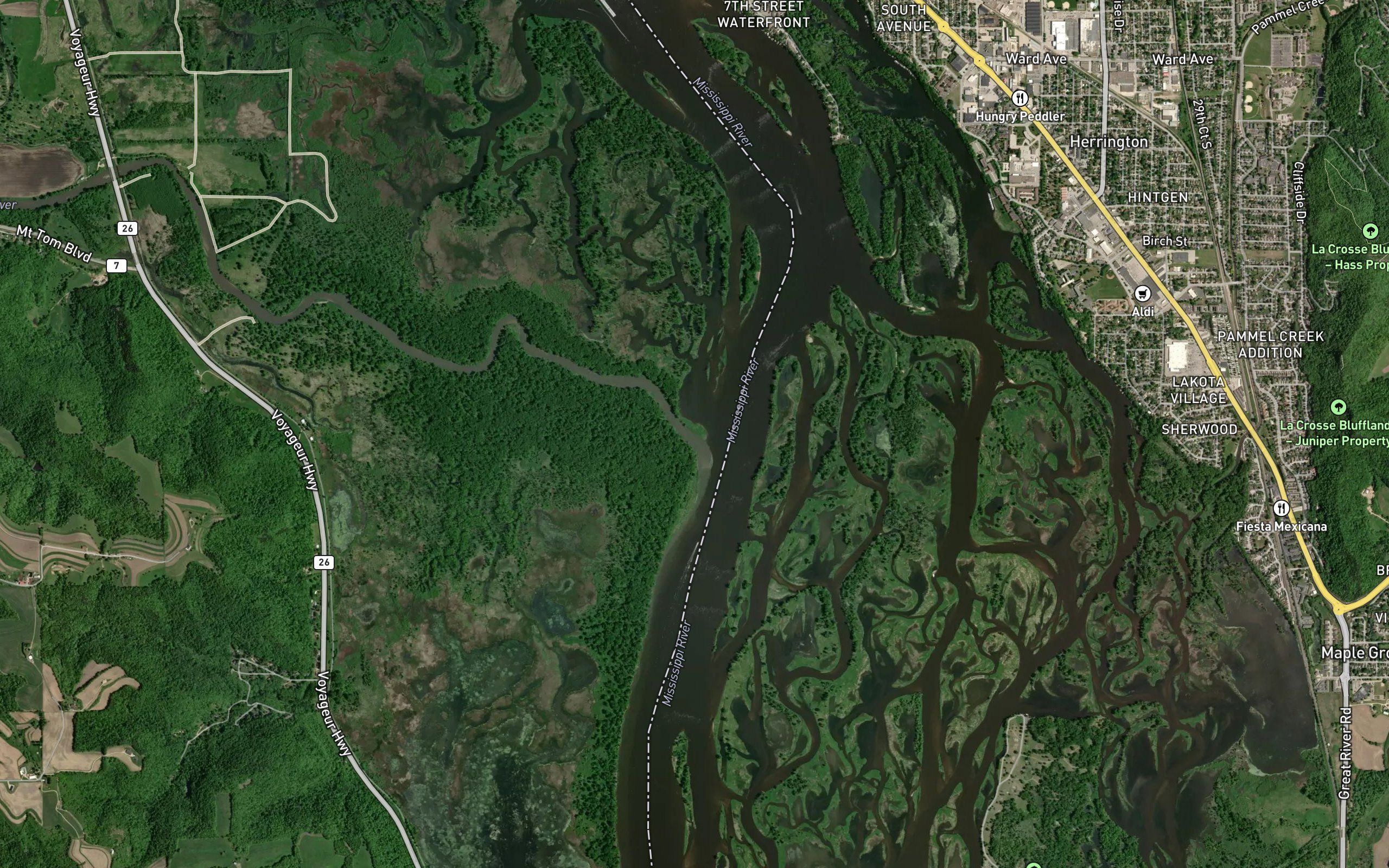 Root River