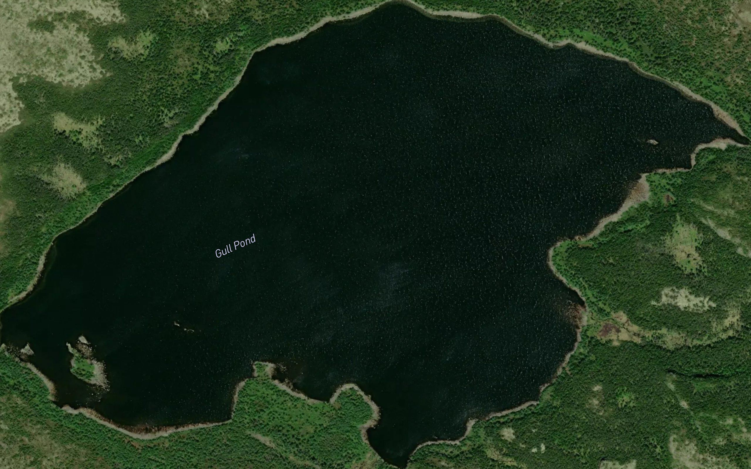 Gull Pond