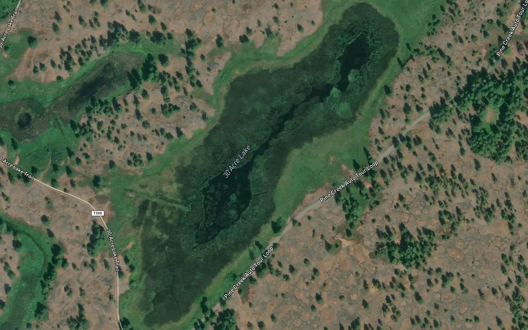 Satellite map of the Thirty Acre Lake