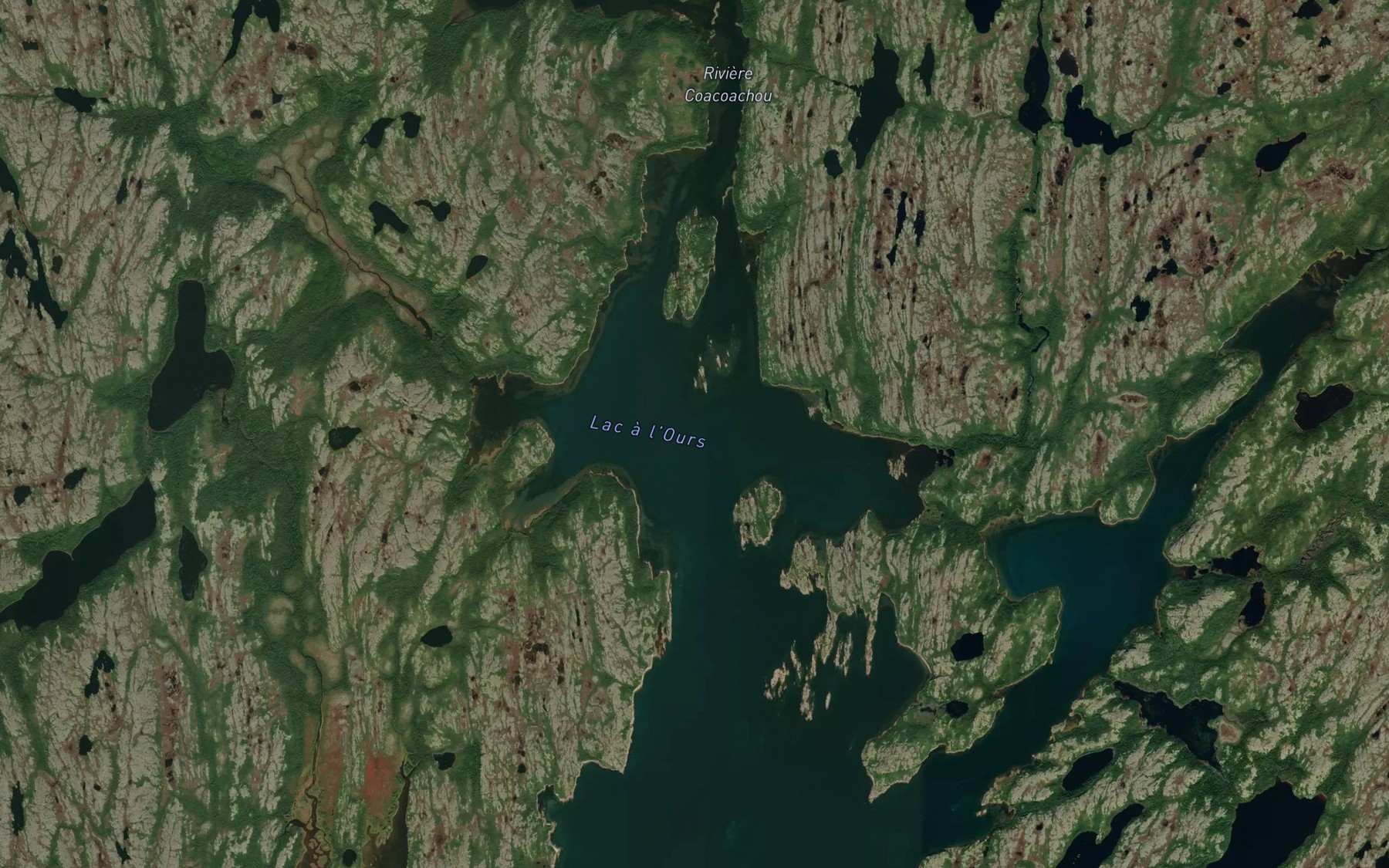 Satellite map of the Lac a l'Ours