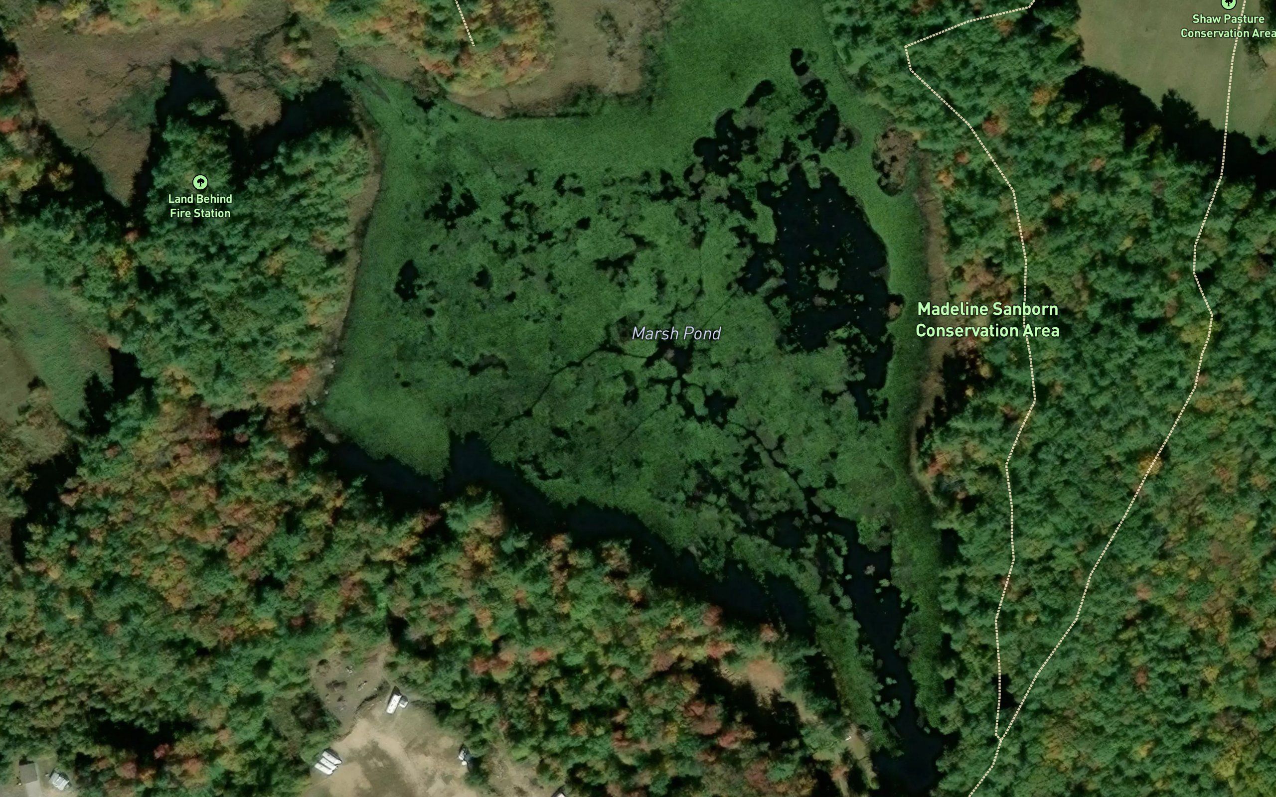 Marsh Pond