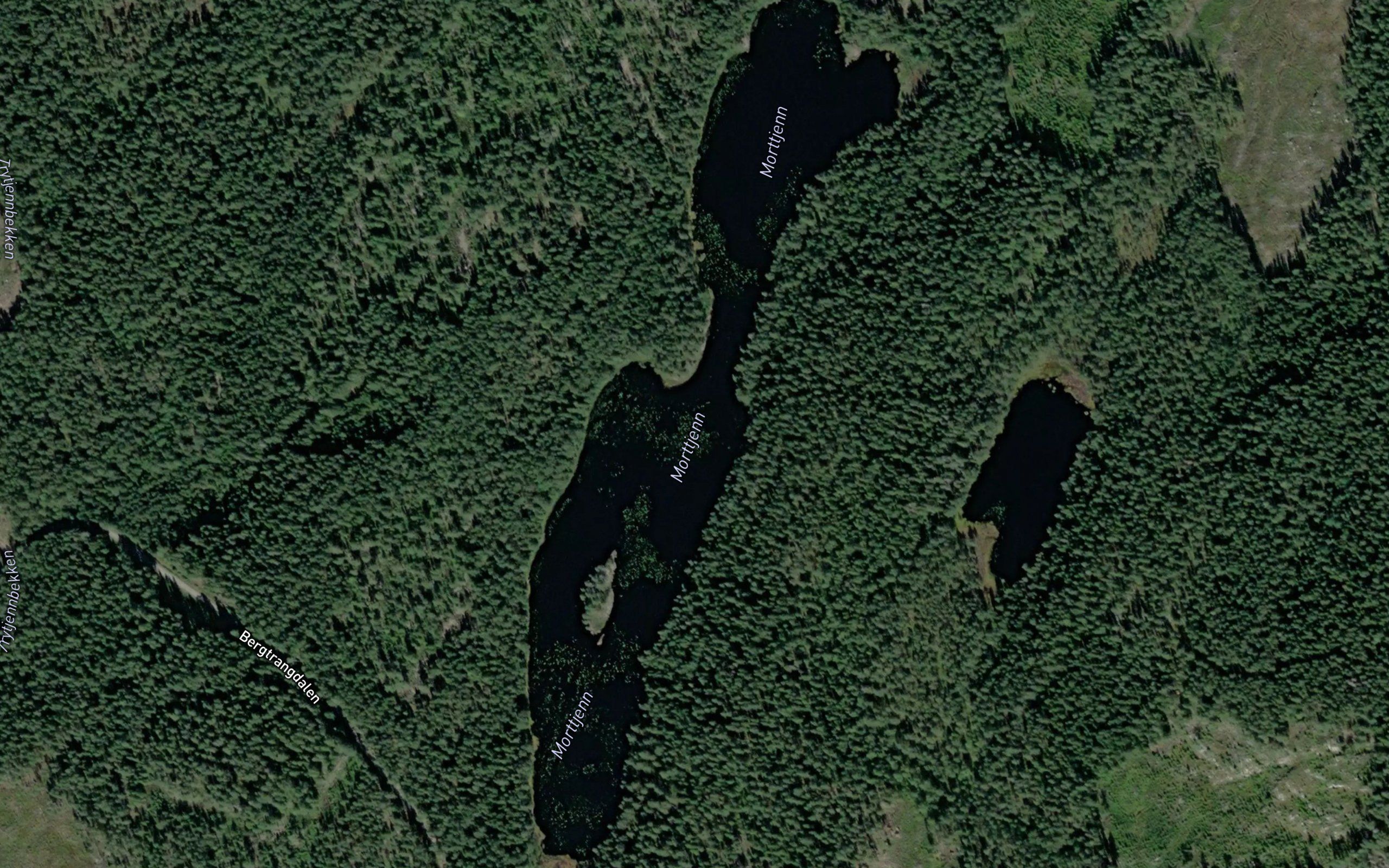 Morttjern