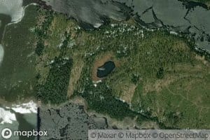 Motjernet