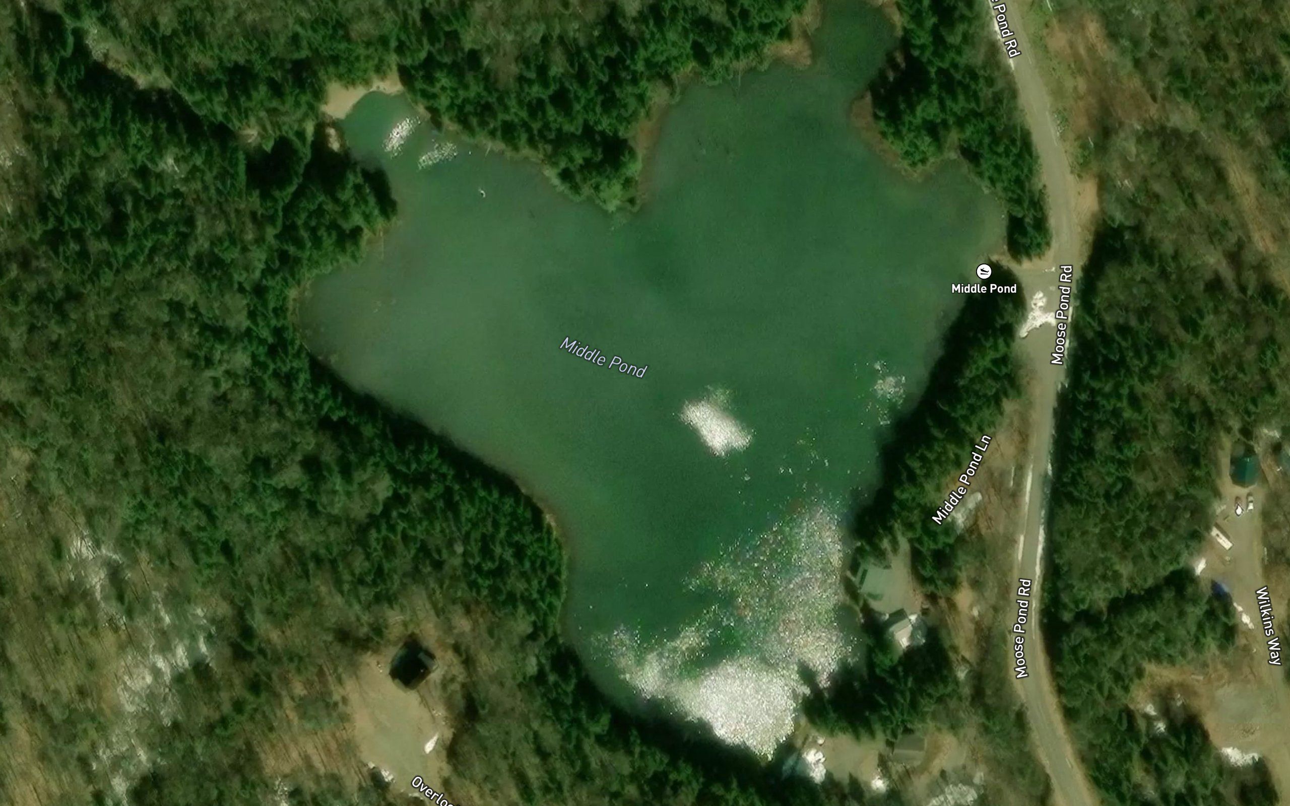 Middle Pond