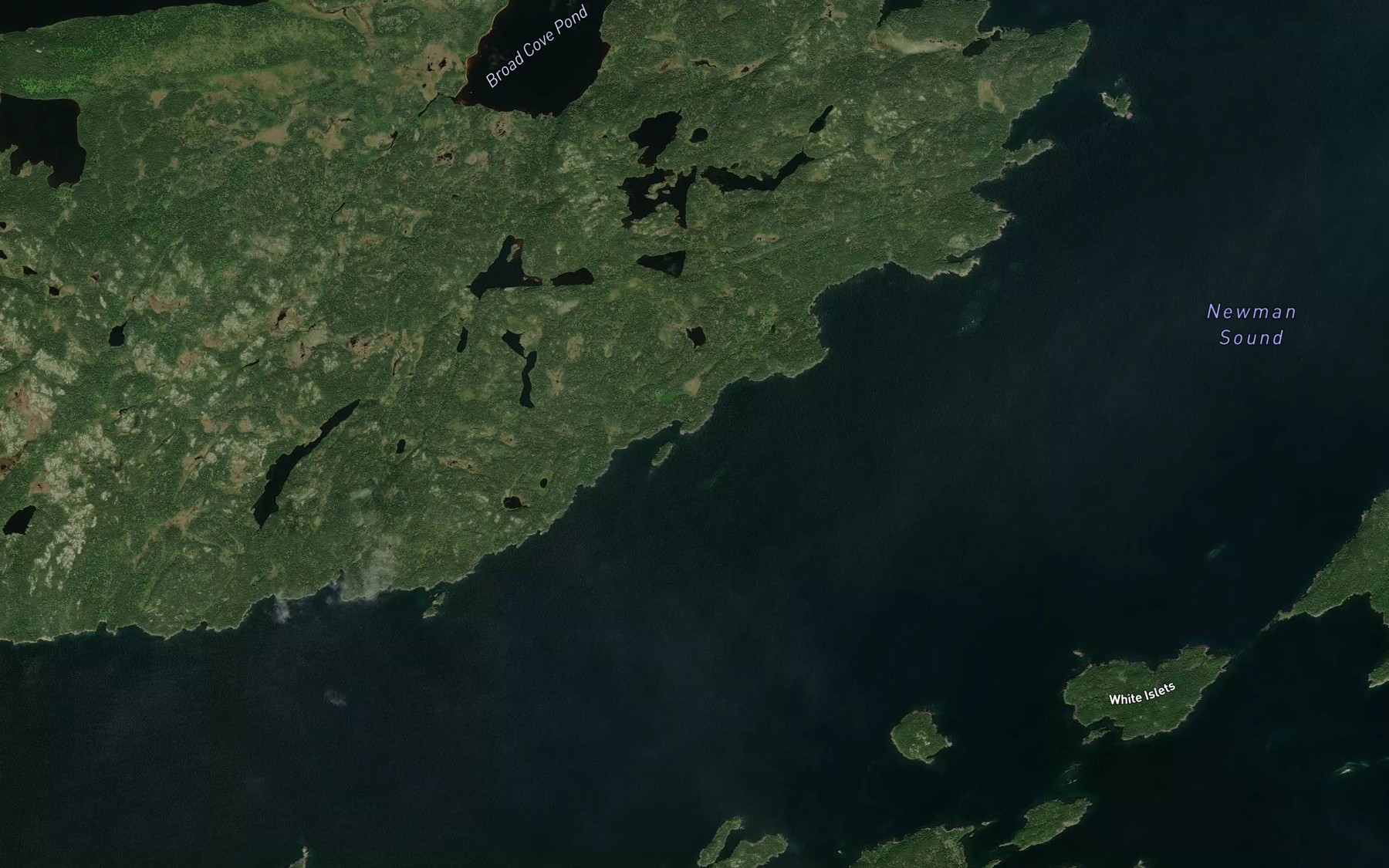 Satellite map of the Donald Smith Cove