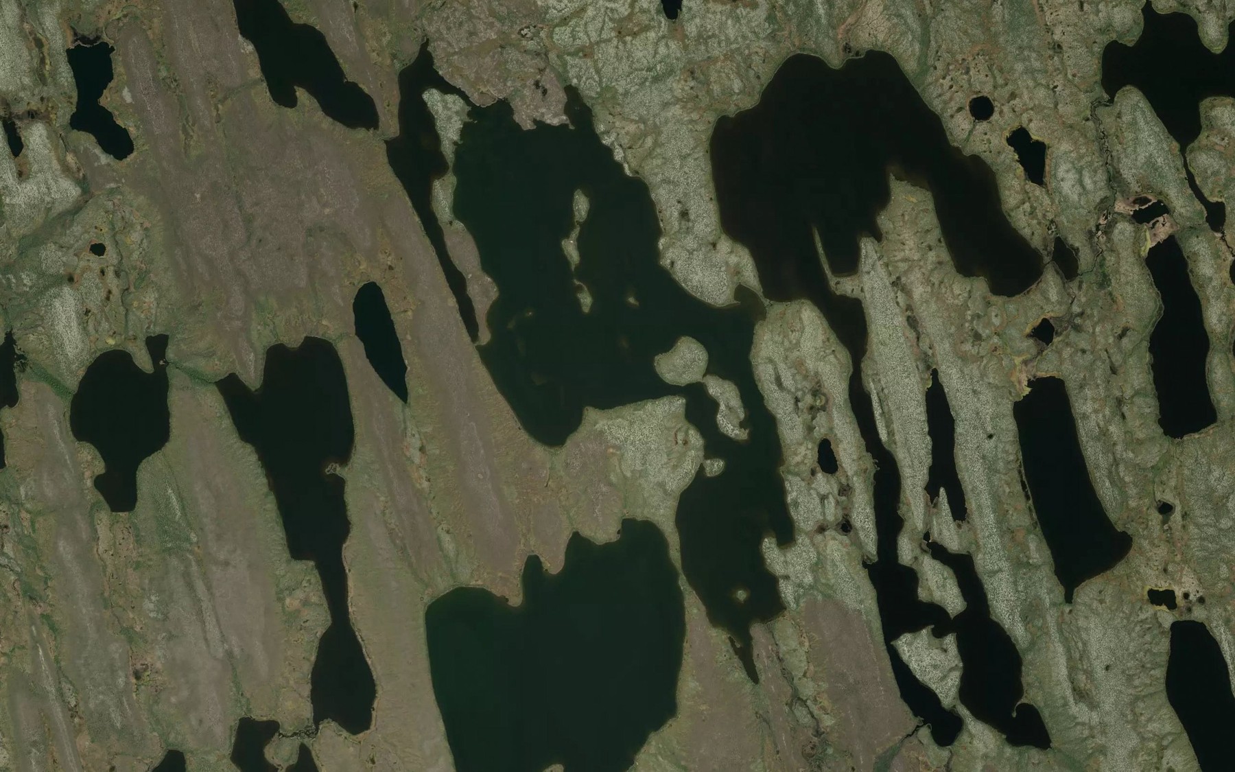 Satellite map of the Aitken Lake