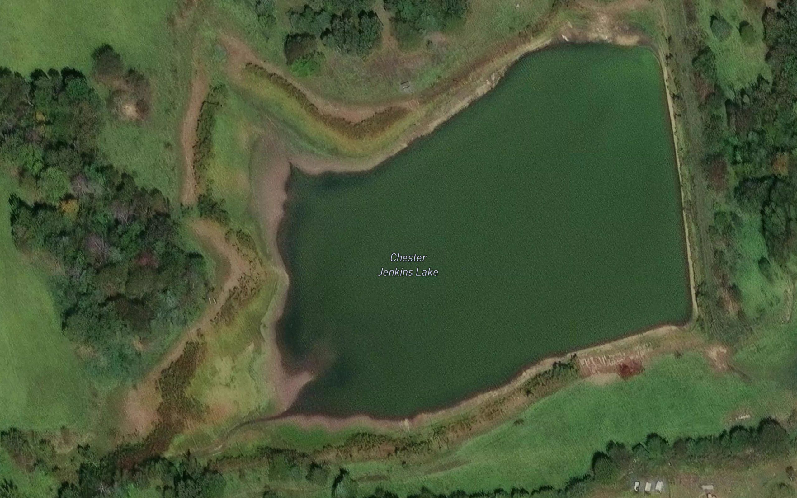 Chester Jenkins Lake