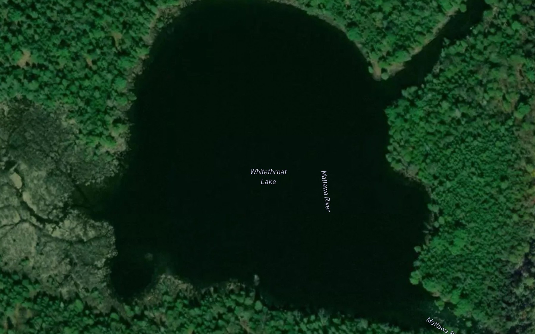 Satellite map of the Whitethroat Lake