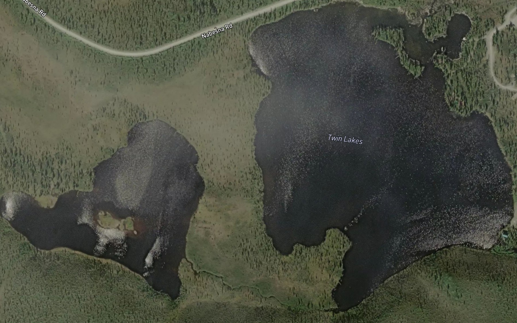 Satellite map of the Twin Lakes