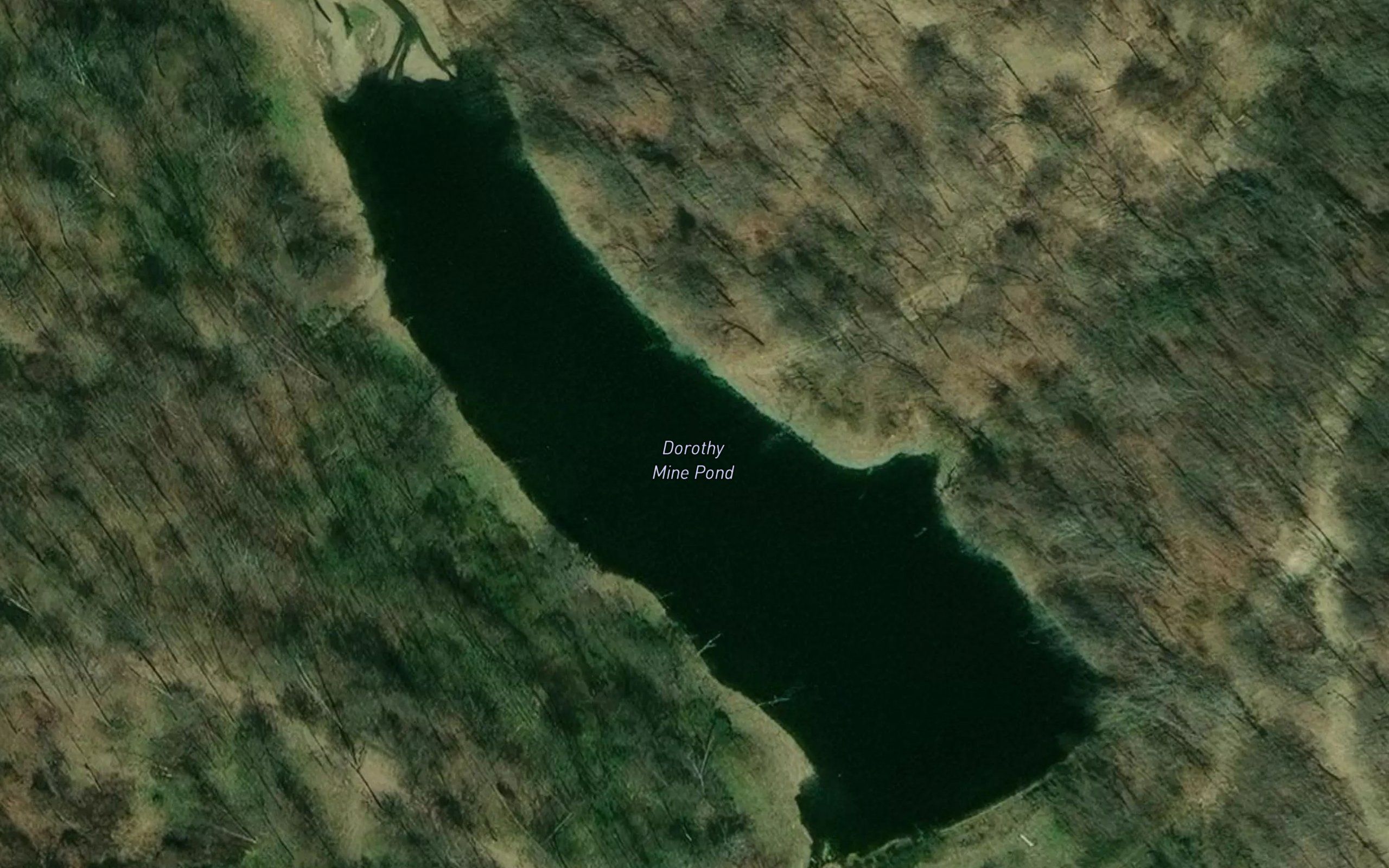 Dorothy Mine Pond