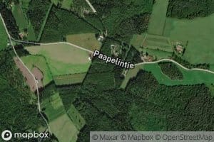 Siikanotkonoja