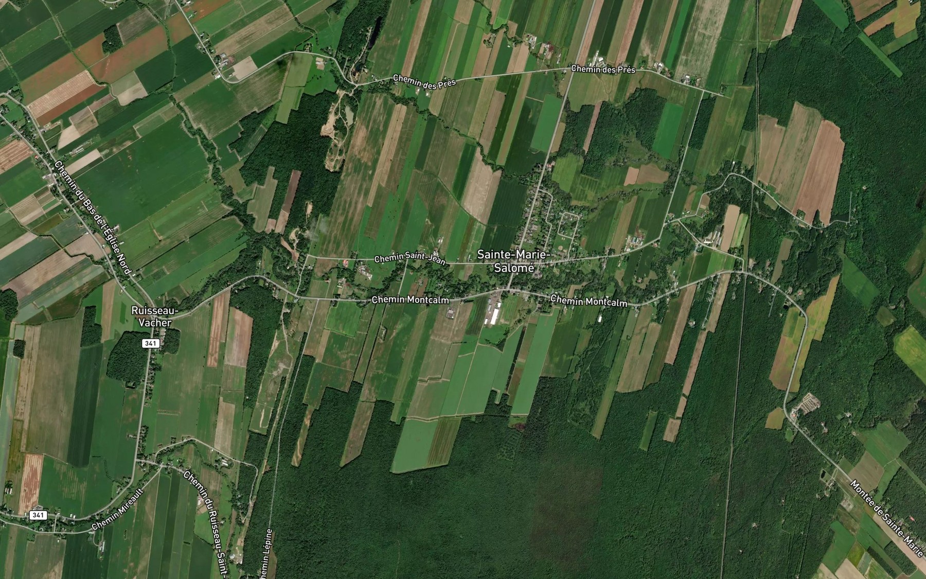 Satellite map of the Cours d'eau Michel-Chevalier