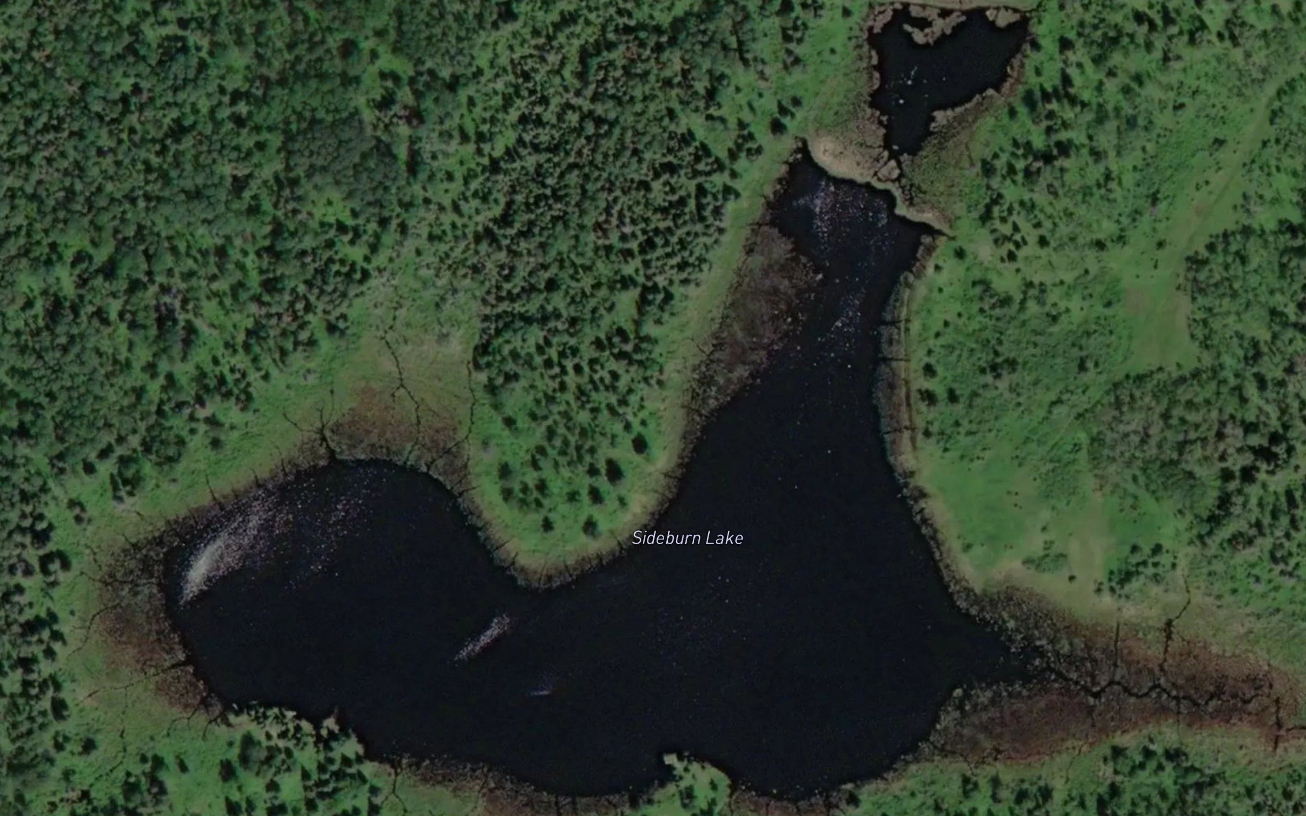 Sideburn Lake