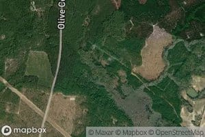 Thick Creek