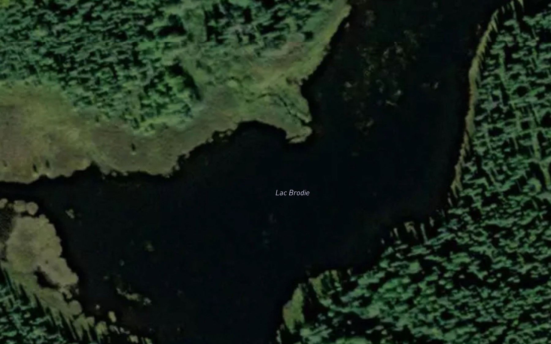 Satellite map of the Lac Brodie