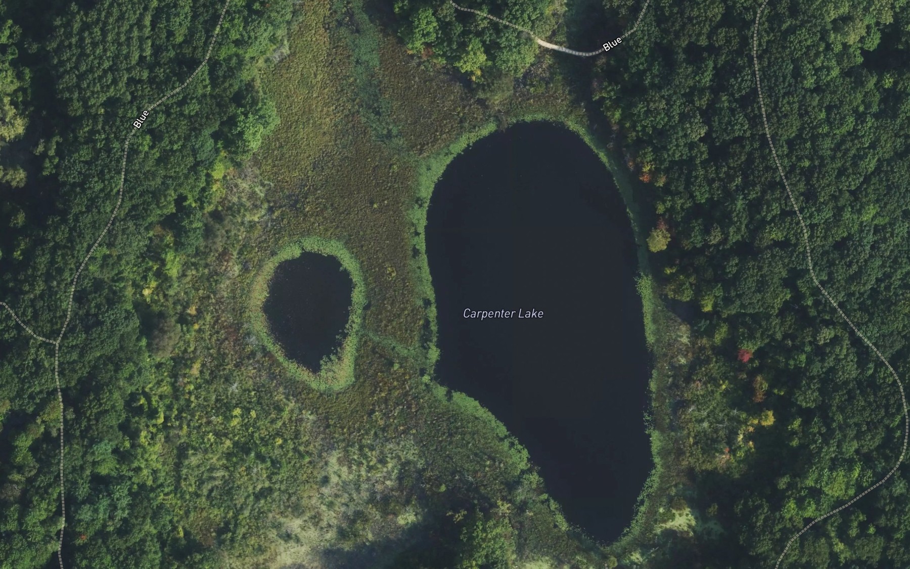 Satellite map of the Carpenter Lake