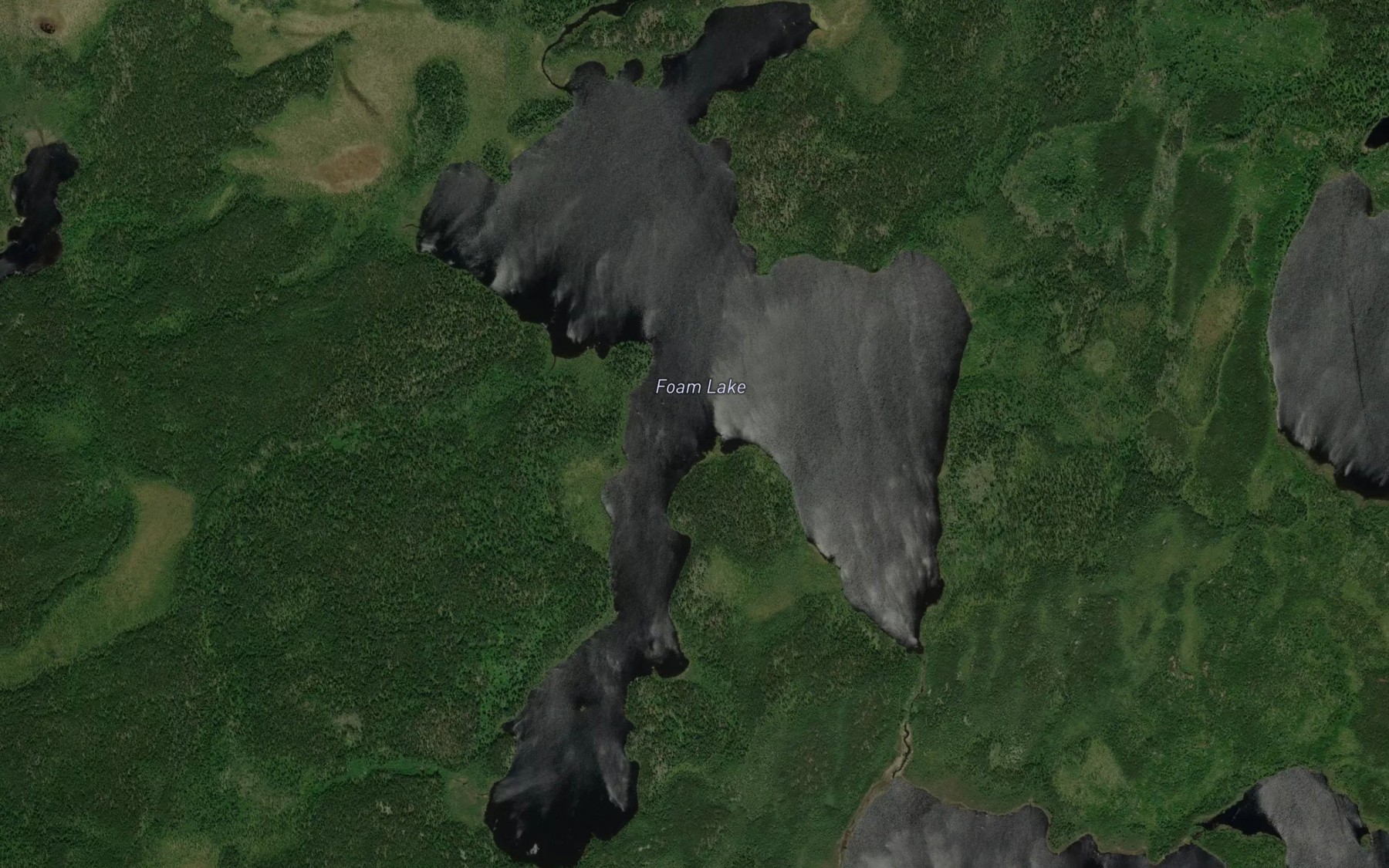 Satellite map of the Foam Lake