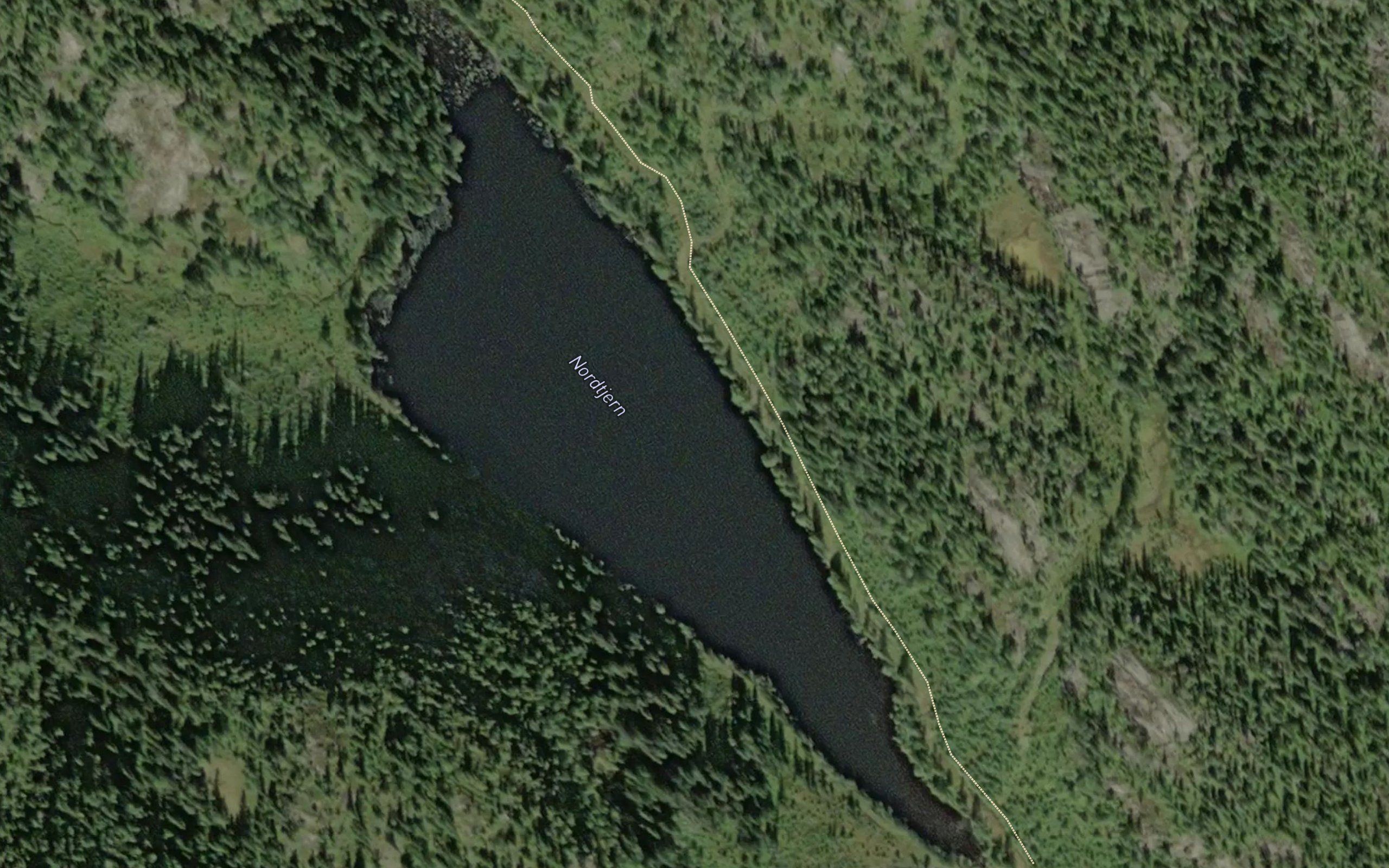 Nordtjern