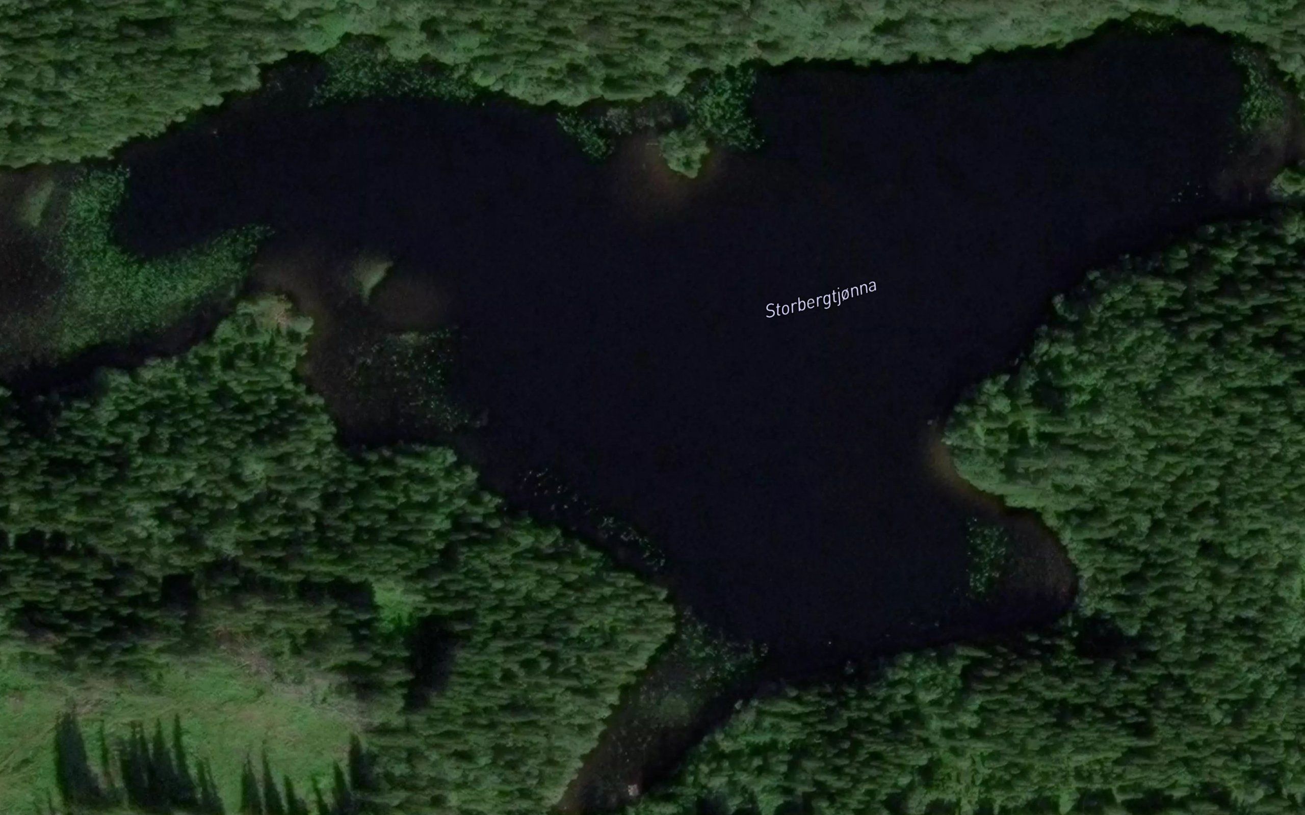 Bergtjorna,austre