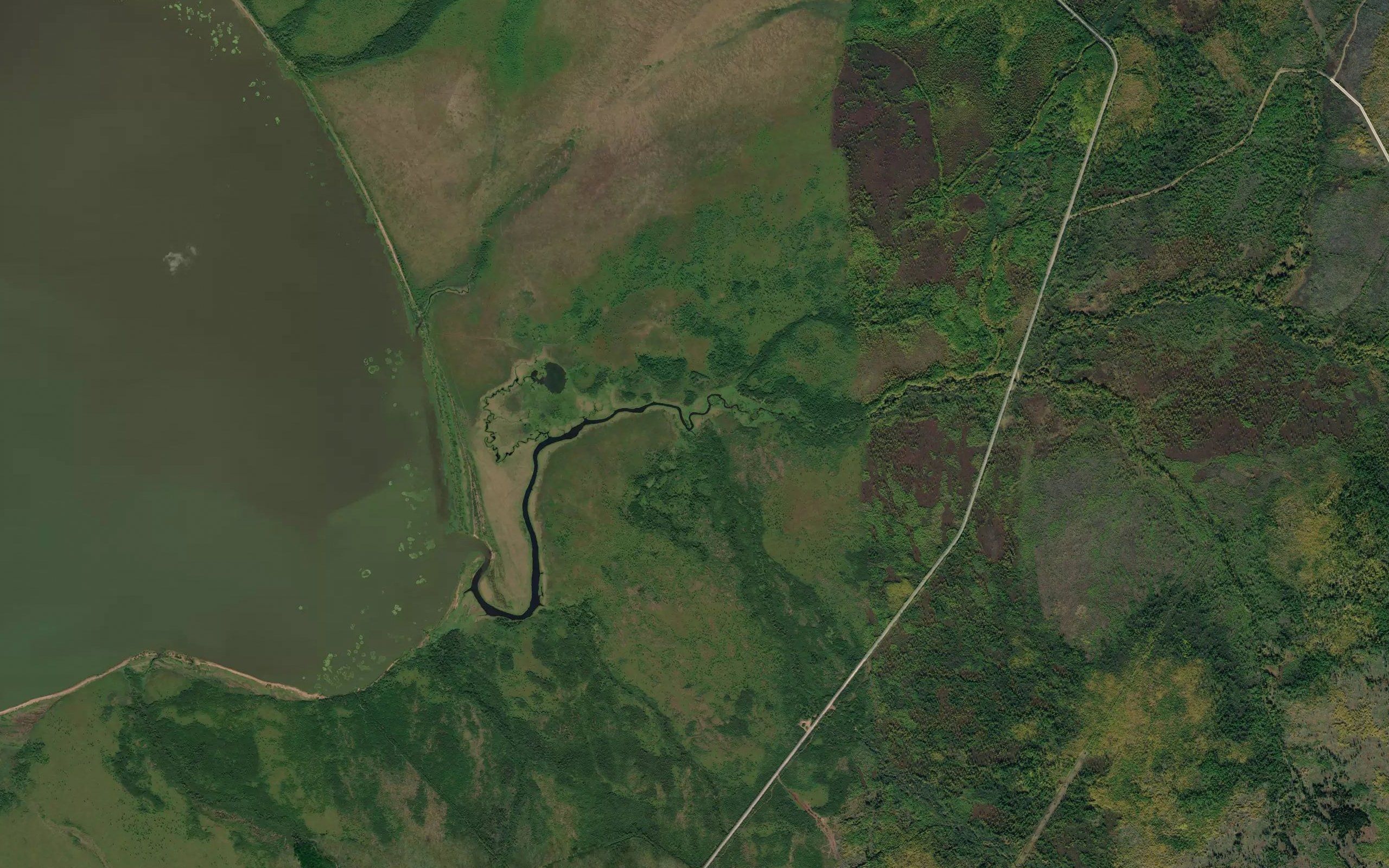 Sakharnyy