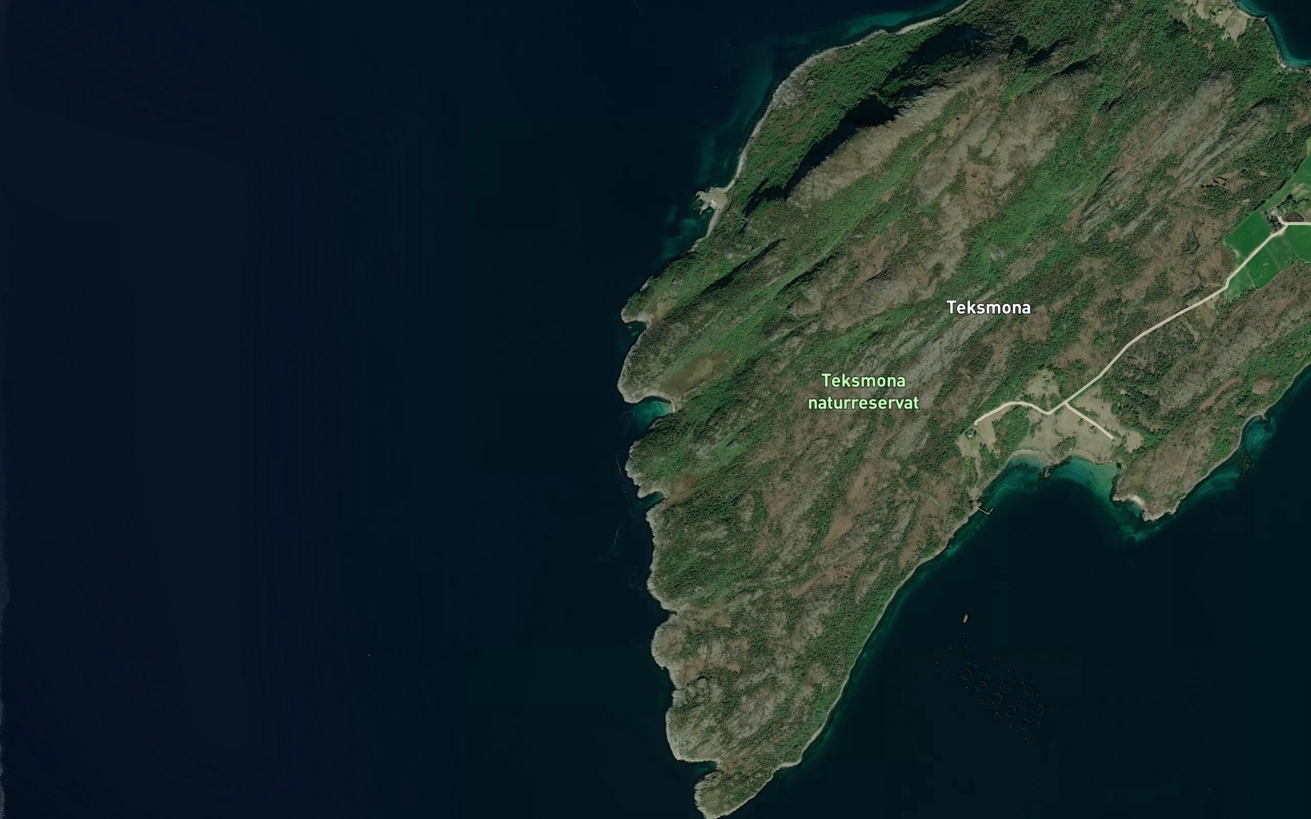 Storhestvika