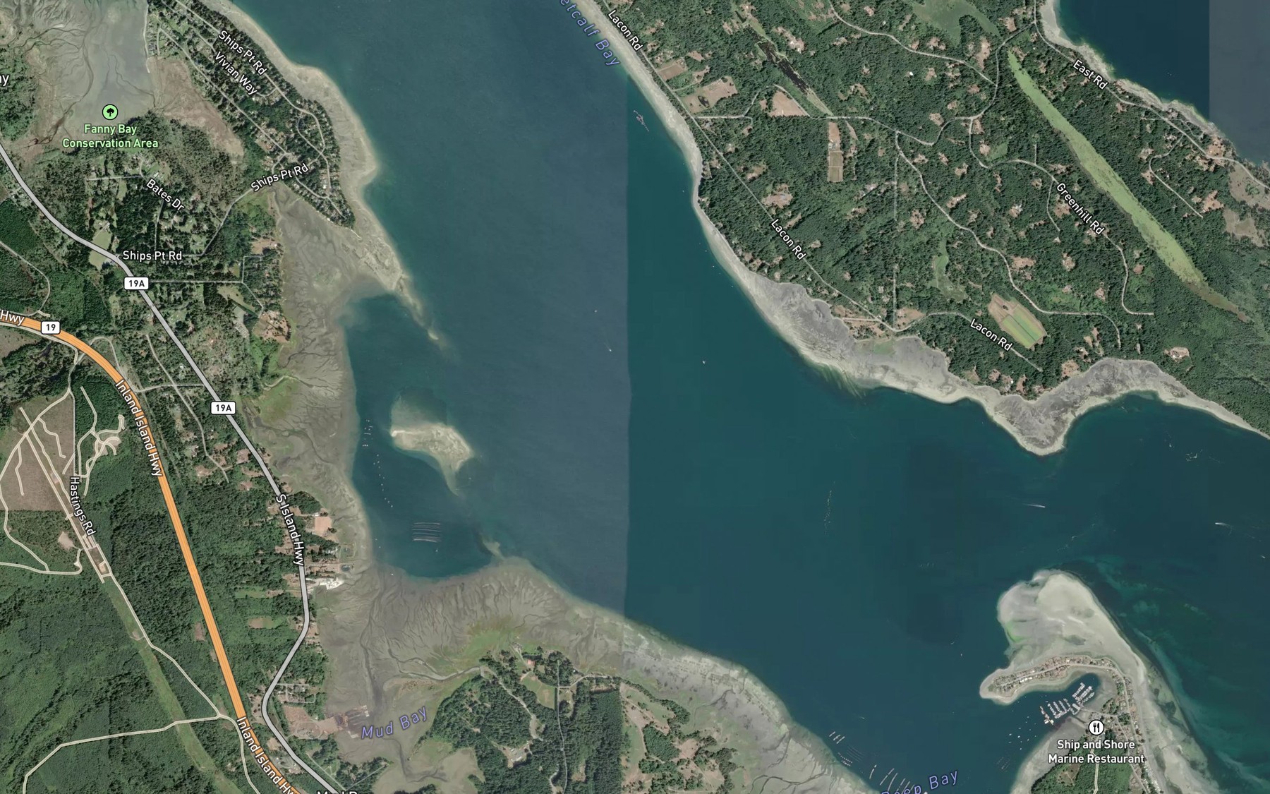 Satellite map of the Baynes Sound
