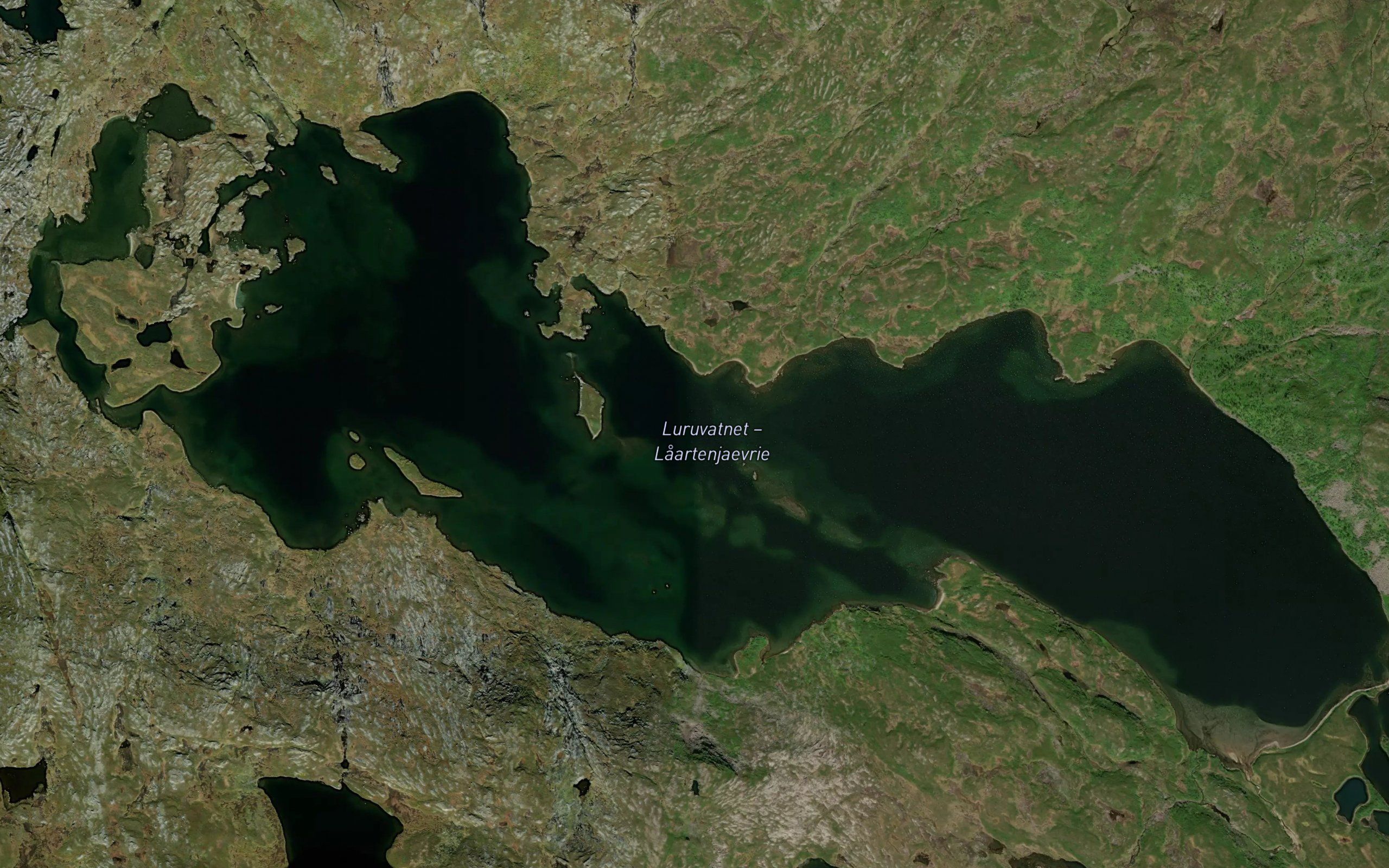 Laartenjaevrie