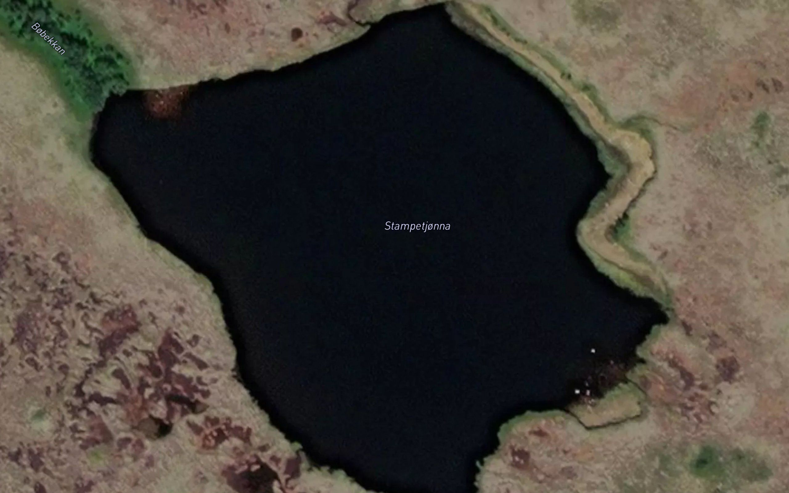 Stamptjorna