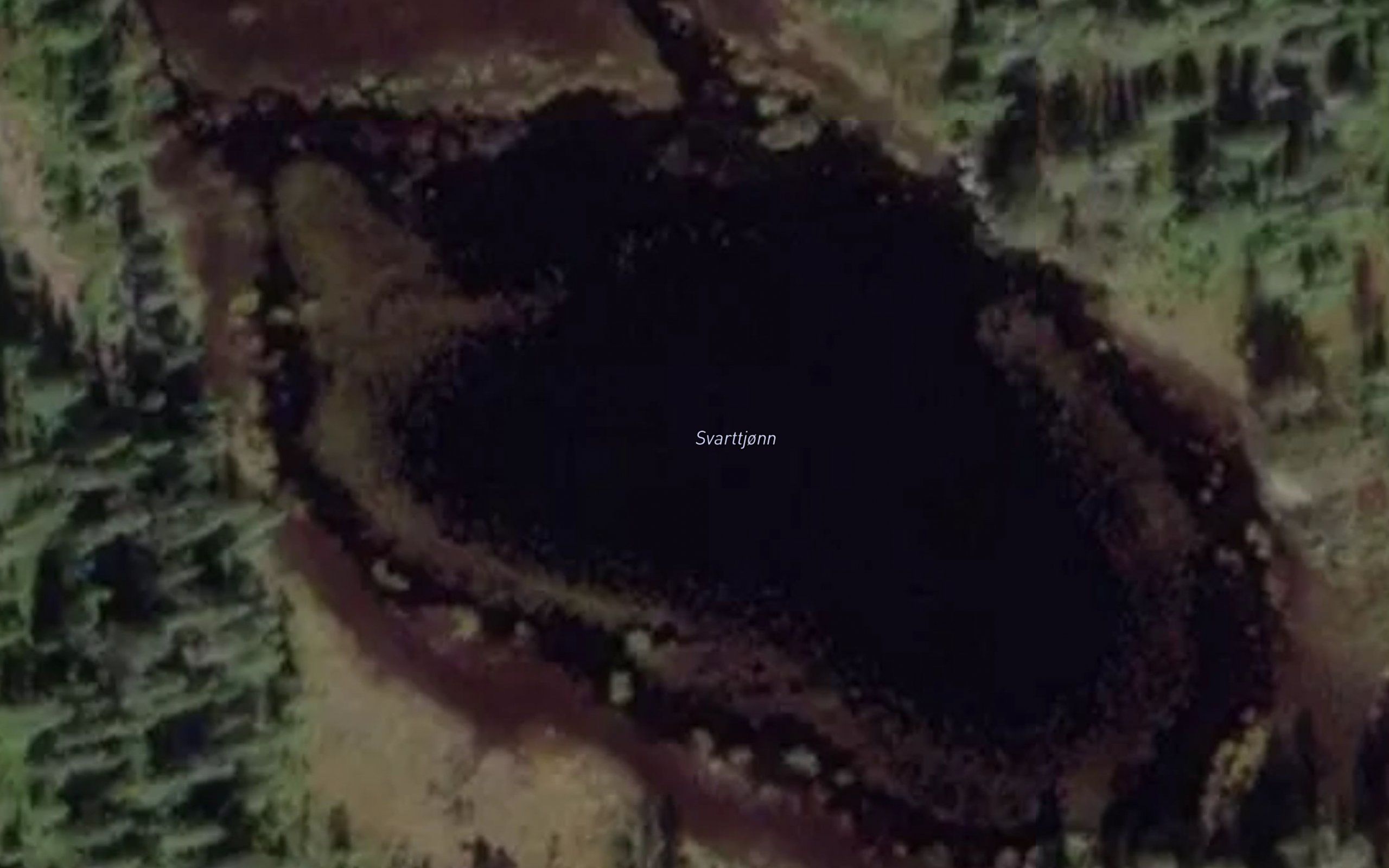 Svarttjorn