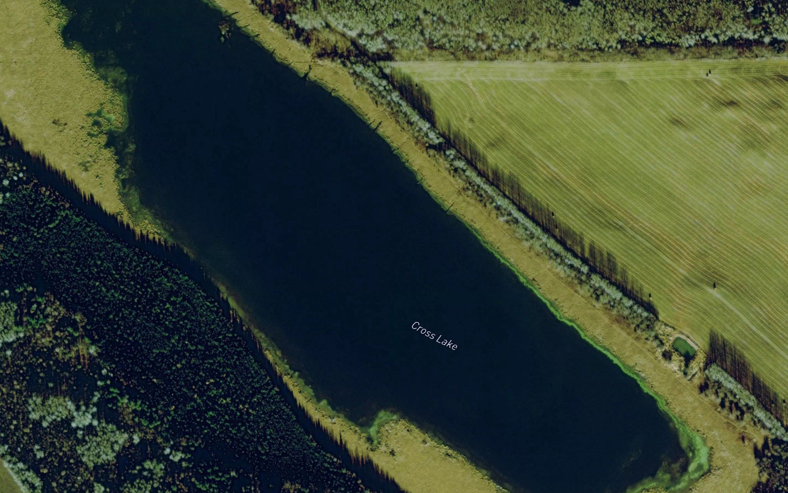 Cross Lake