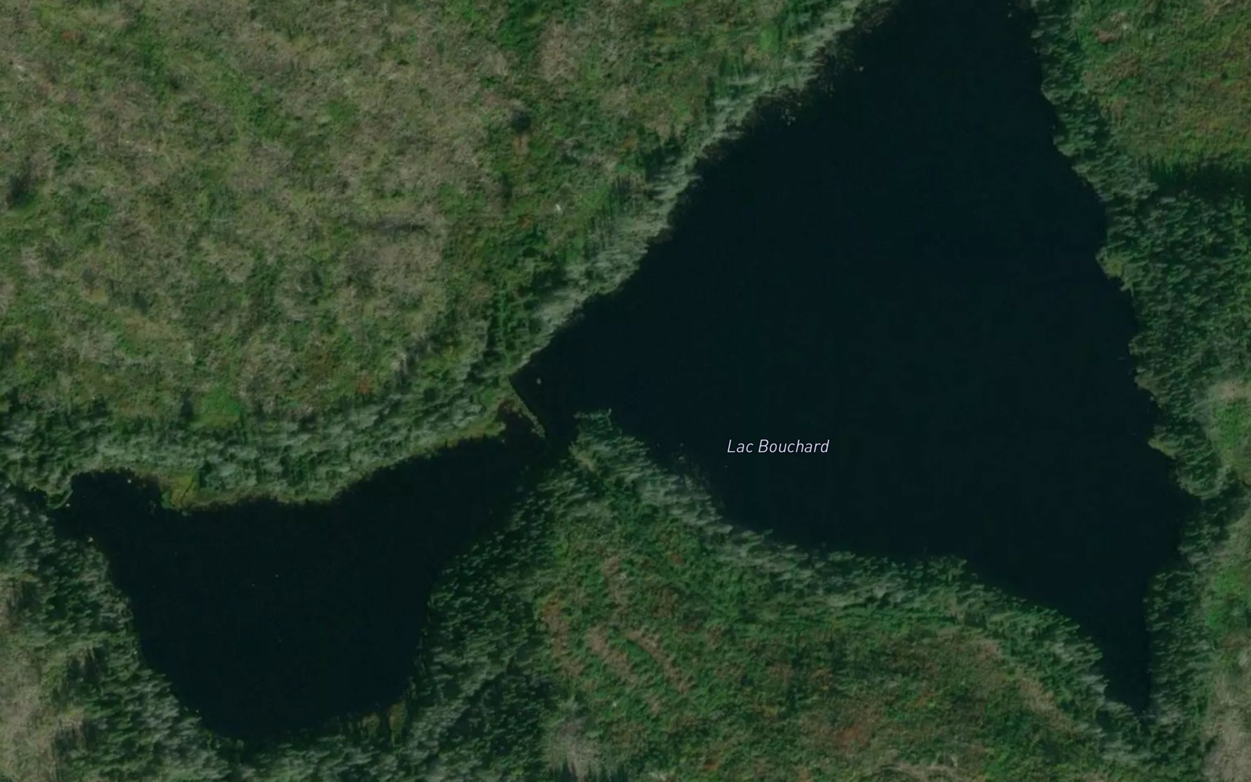 Satellite map of the Lac Bouchard
