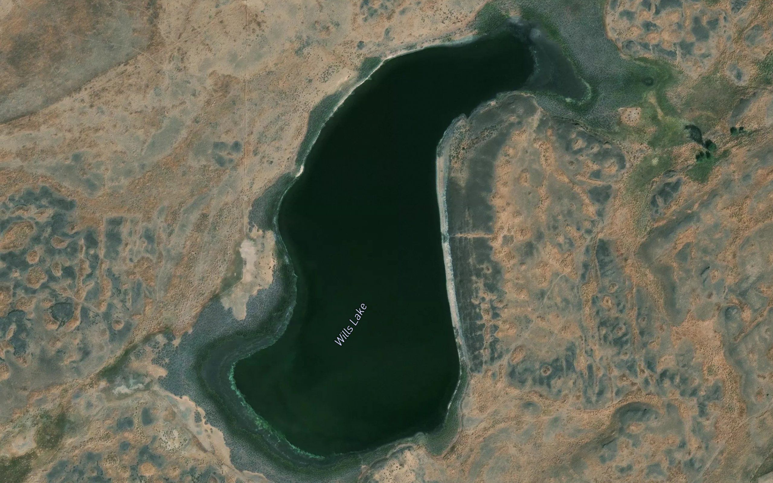 Wills Lake