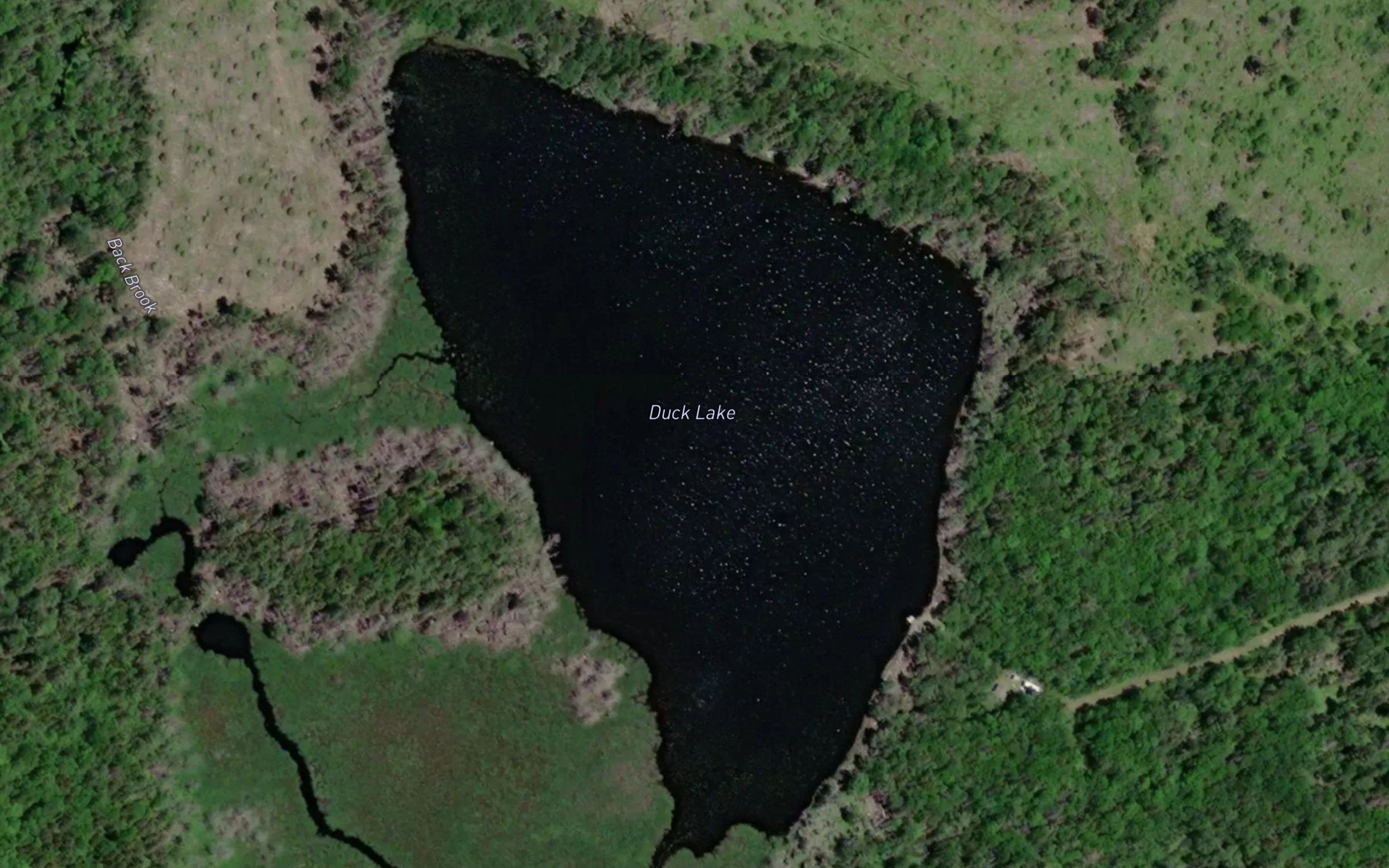 Duck Lake
