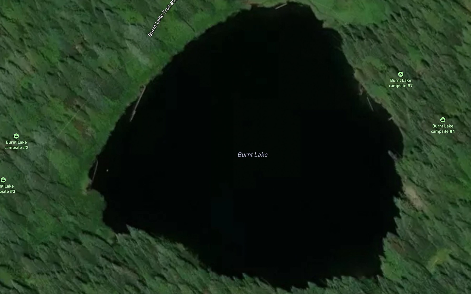 Satellite map of the Burnt Lake