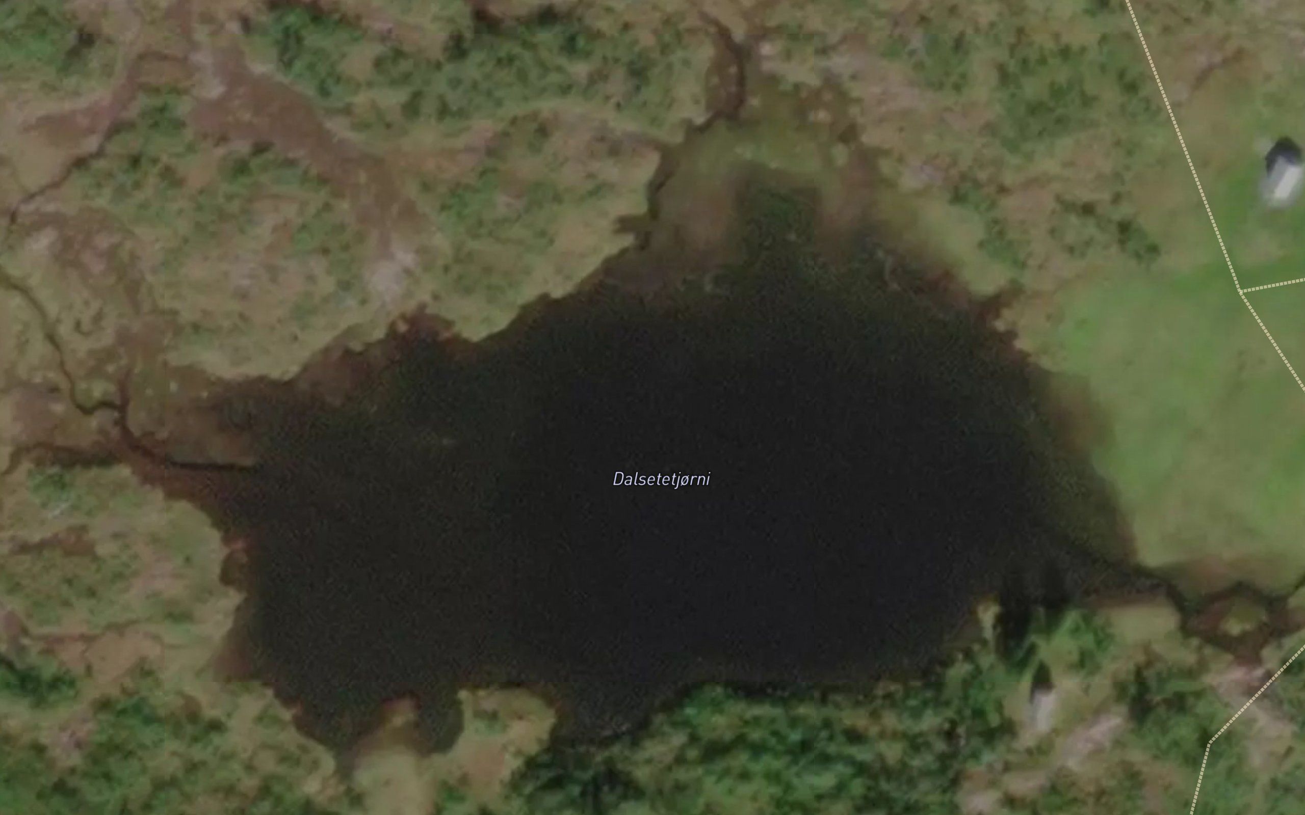 Dalsetetjorni