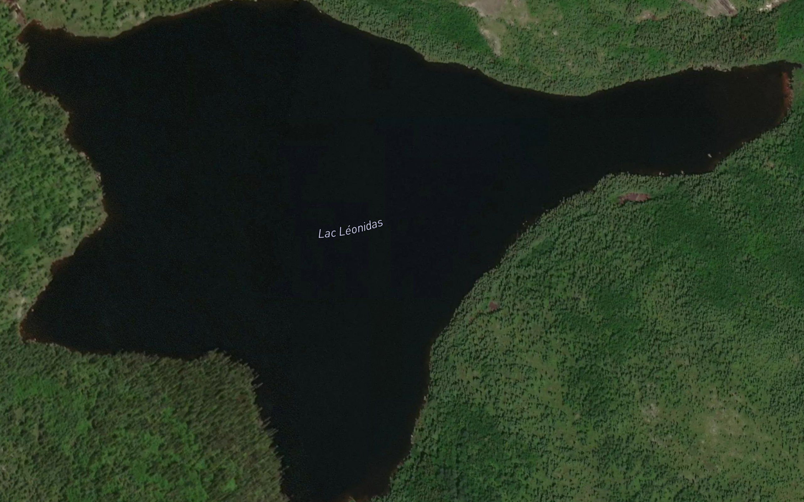 Lac Leonidas