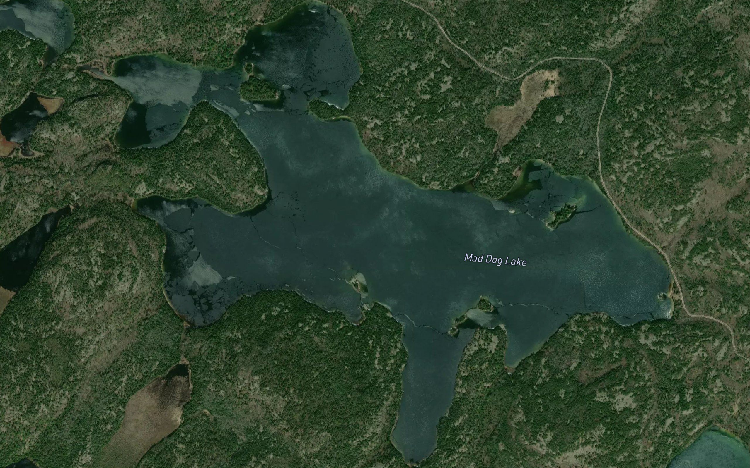 Mad Dog Lake