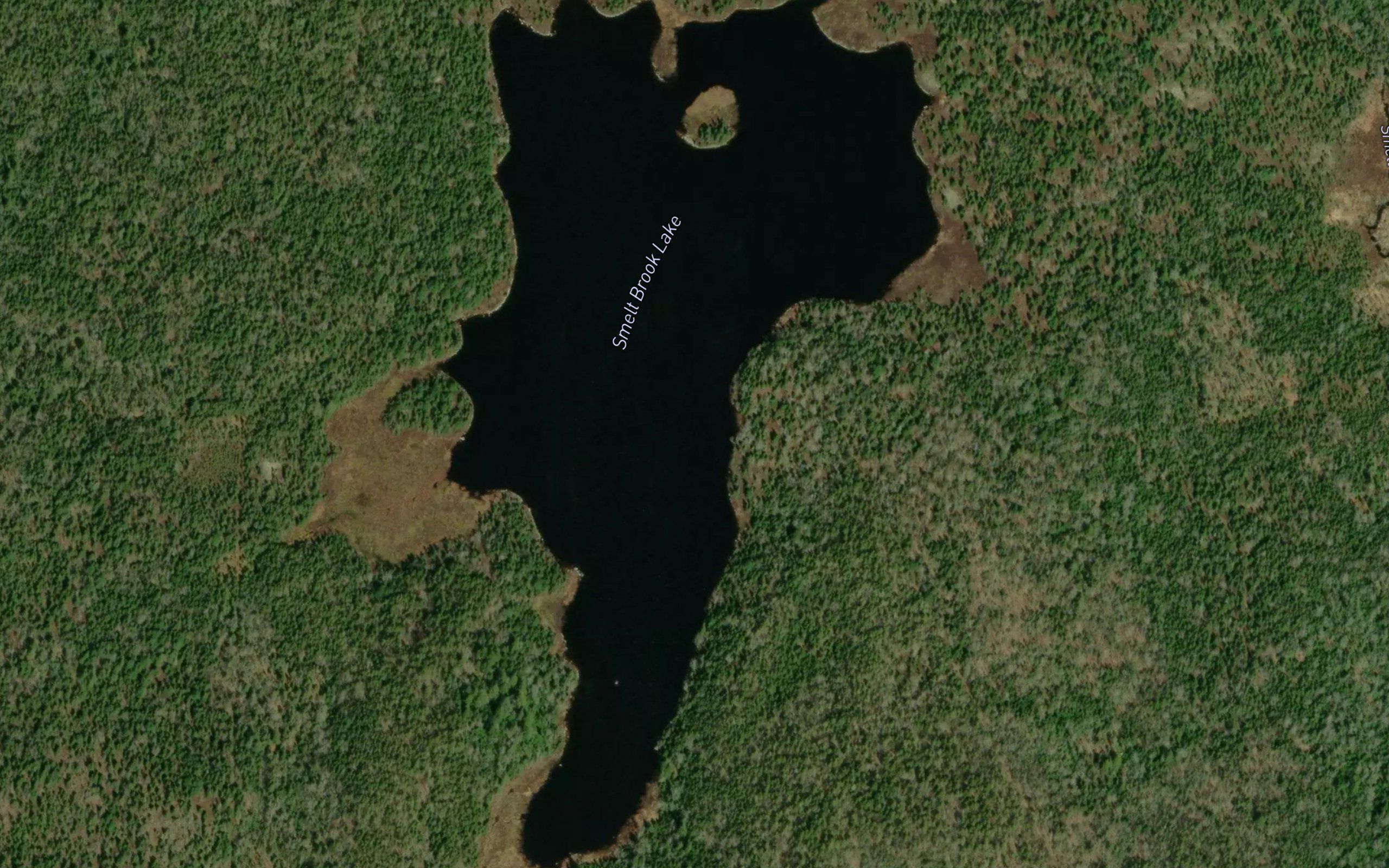 Smelt Brook Lake