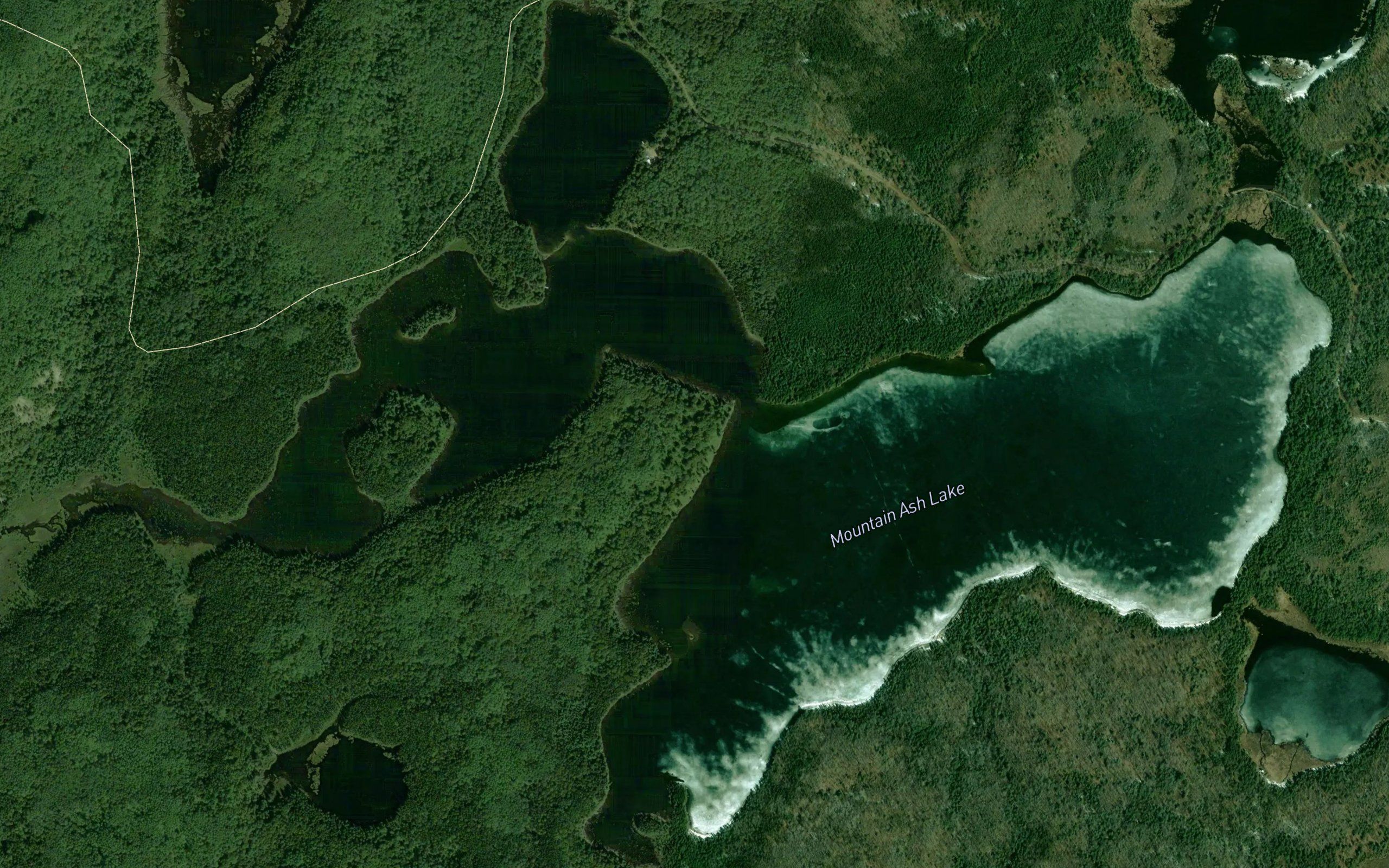Mountain Ash Lake