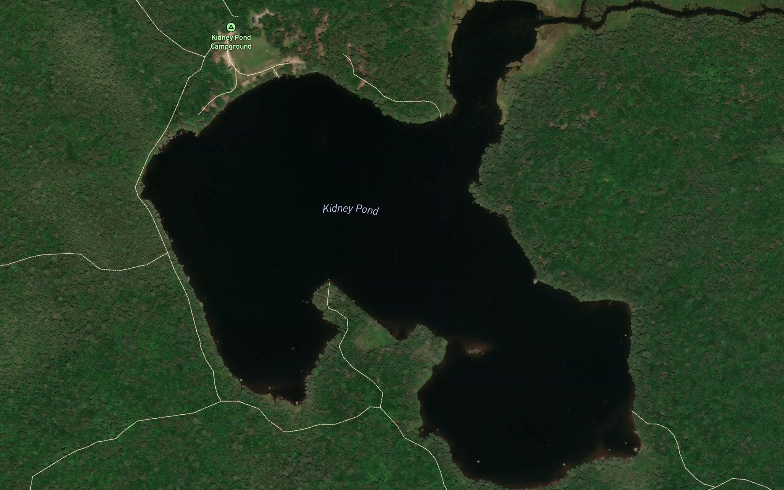 Kidney Pond