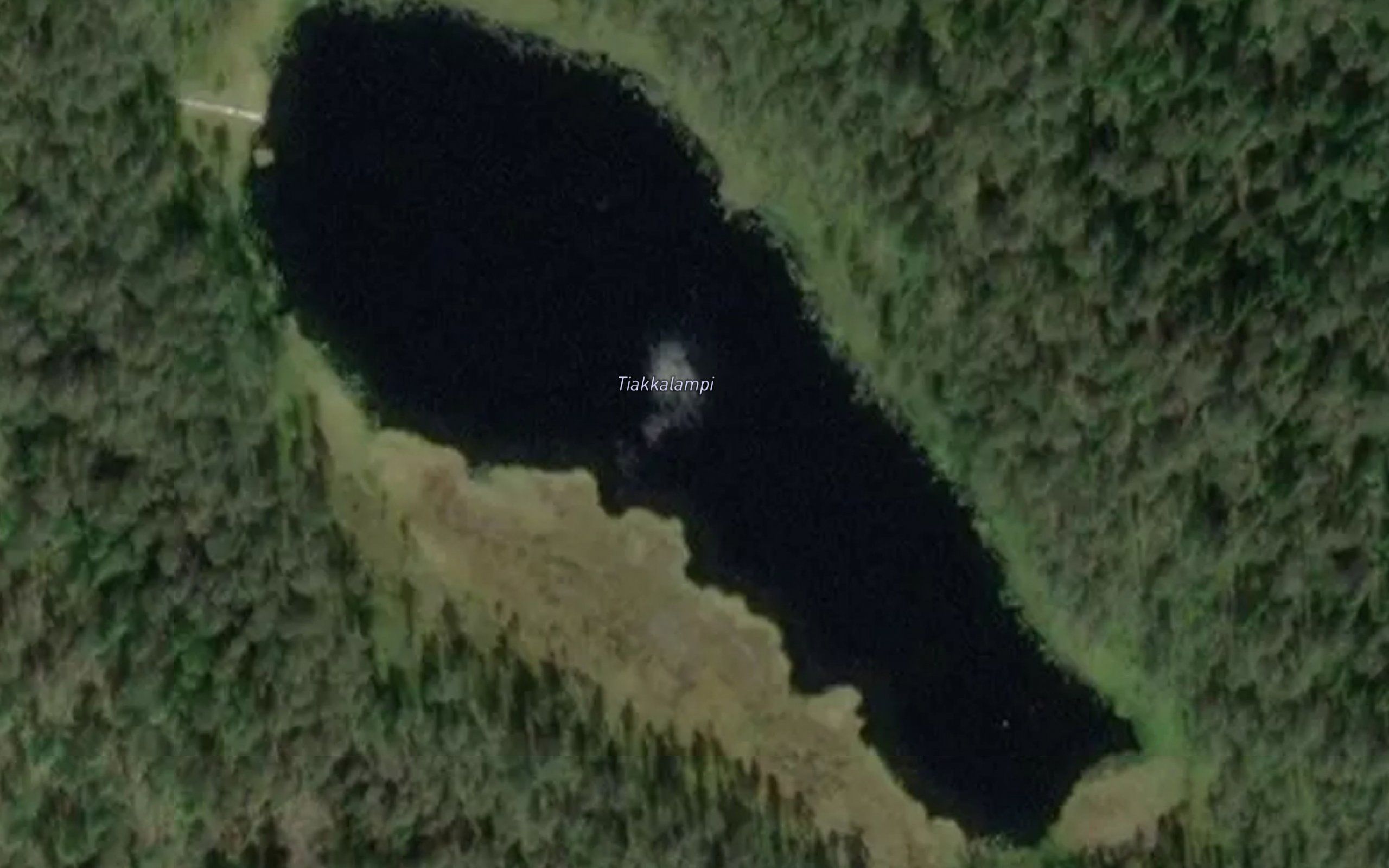 Tiakkalampi